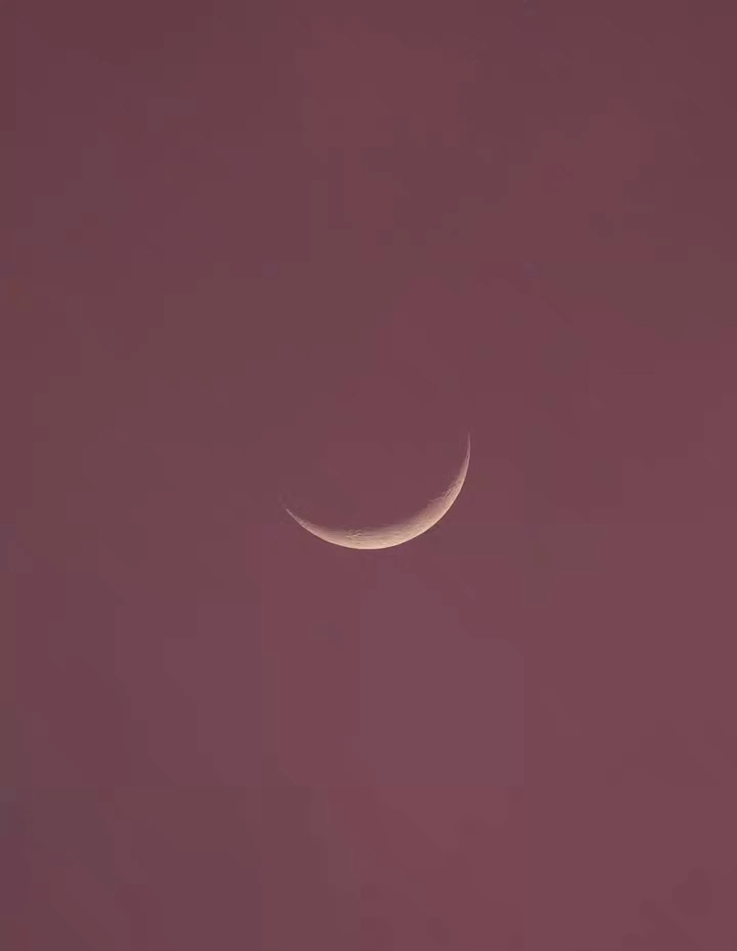 "It's impossible to watch a sunset and not dream"~Bernard Williams

Wow!! This color palette 😍 and sunset and the moon and trees and robins and bats! 😍
.
What a lovely show at the end of a warm spring day! 🌷✨️
.