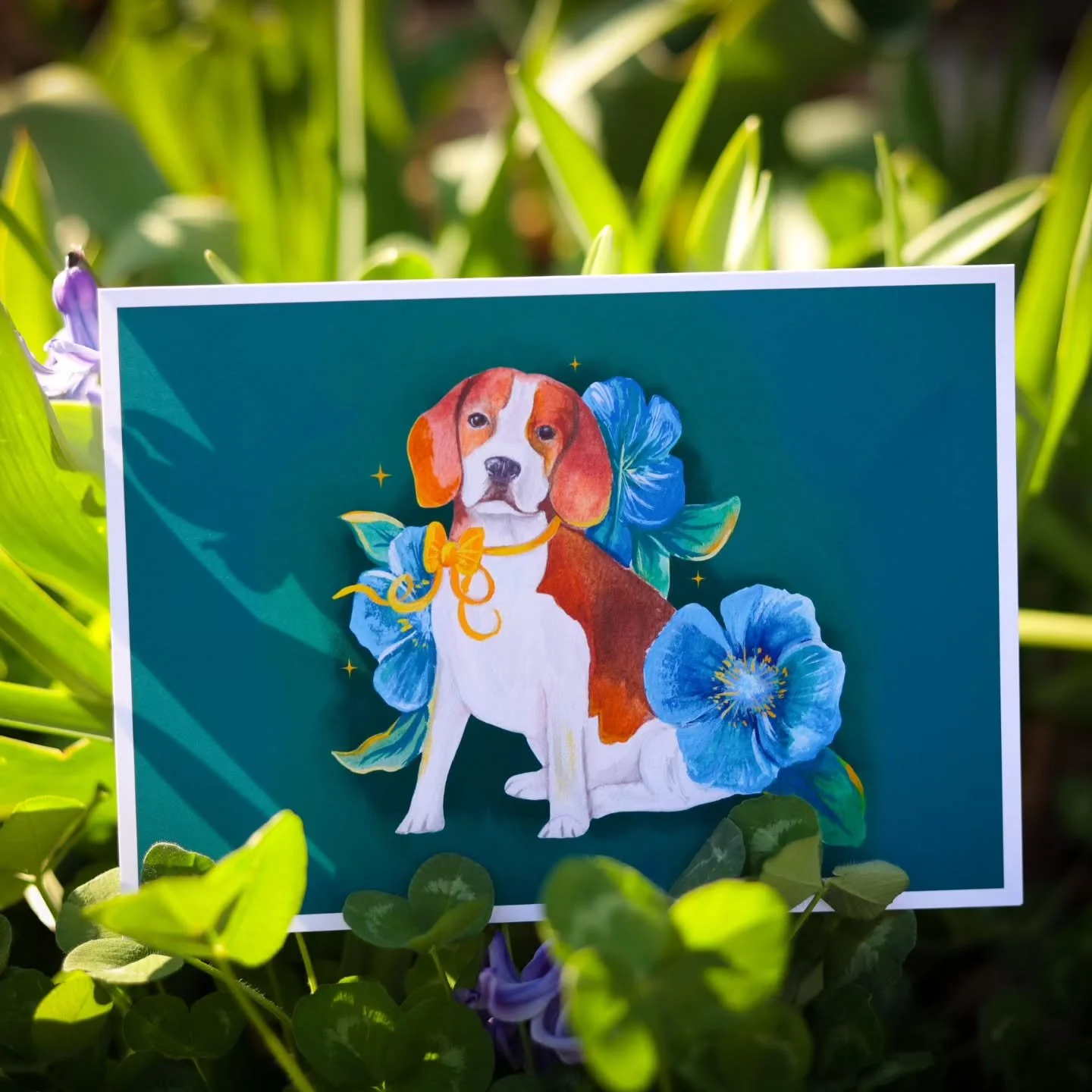 New Cards and Stickers 🐕🩵
.
New cards and stickers featuring a sweet beagle and blue poppy flowers. 💙 
.
For each purchase of these beagle greeting cards,  50% of proceeds will be donated to The Humane World for Animals as well as 100% of sticker 