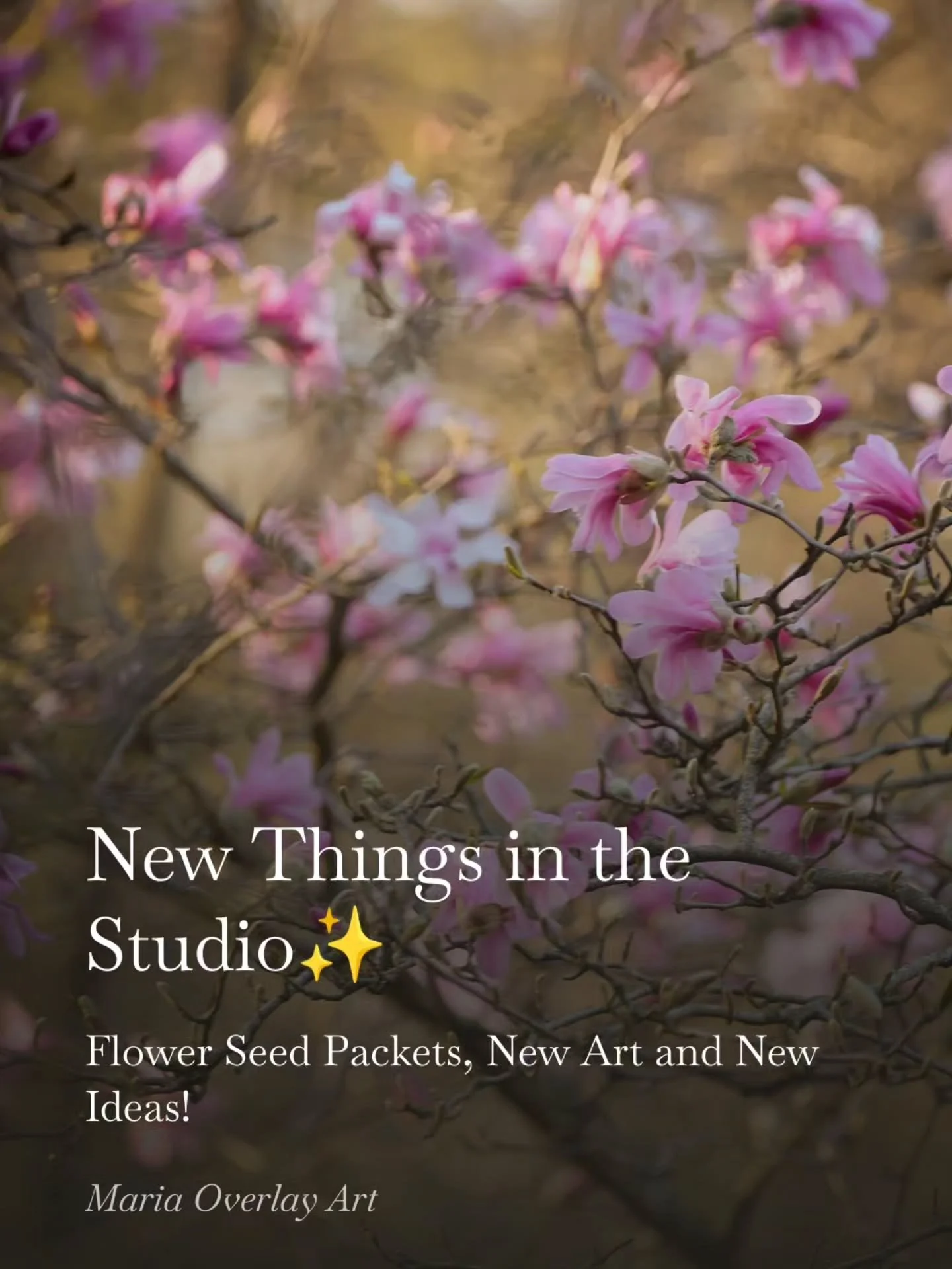 New Things in the Studio ✨️
.
Check out my latest Newsletter, I share about the flower seed packets, new art and a new idea! ✨️💜
.
https://open.substack.com/pub/mariaoverlayart/p/new-things-in-the-studio
.
L!nk in my B!o 💛