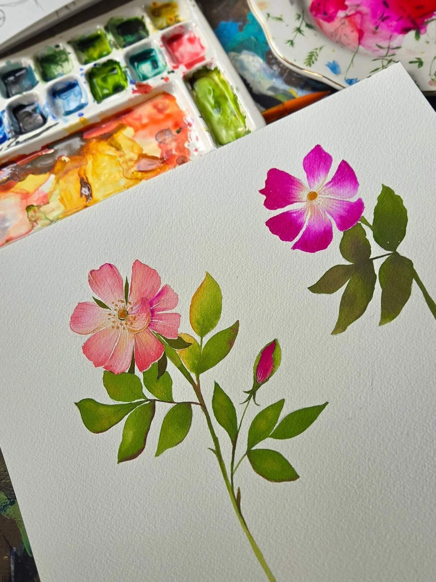 Wild Roses❤️🌸
.
Painting these little cuties blooming in my yard! I have a special love for roses 🌹 
.
Here I have used watercolors and watercolor inks (for that intensity!) And I'm loving them so far!
.
#wildroses #staywild #flowers #watercolorros