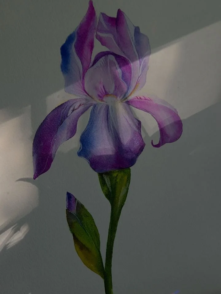 ✨️💜💓