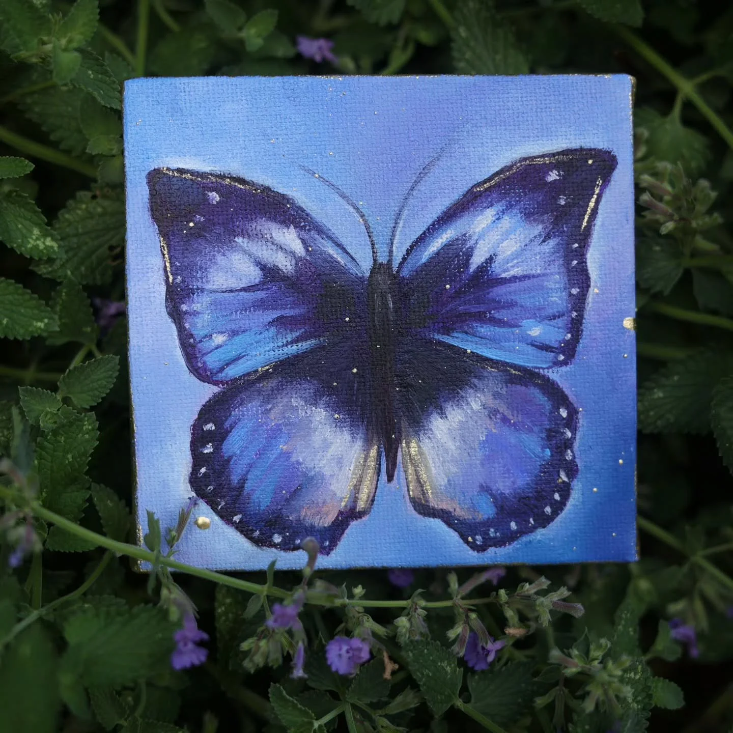 These beautiful little butterfly oil paintings are  dry and ready to be varnished and then something a little extra! 🦋
*I think, I am going to pour resin over them, add more golds, and maybe crystal chunks, still undecided!*✨️