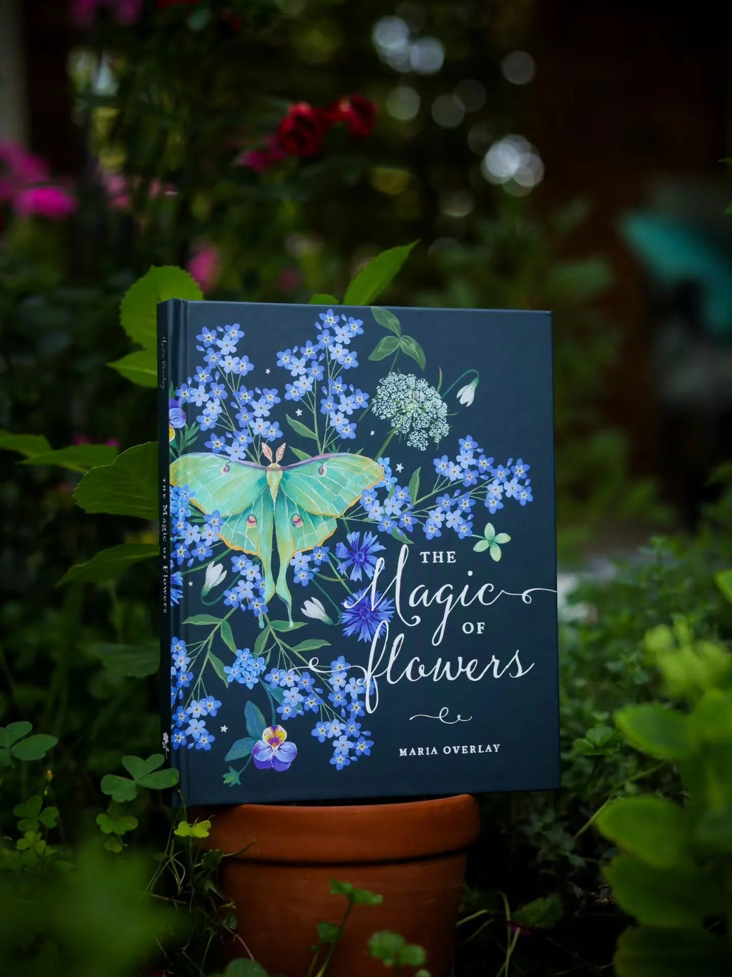 Getting sooooo close to finalizing my book. I had to "fix" 4 pages to make sure the copies look just right for you💐📖✨️ 

Pre Orders are available with shipping at the end of this month! (Optional Pick Up and Local Drop Off Available!) Eac