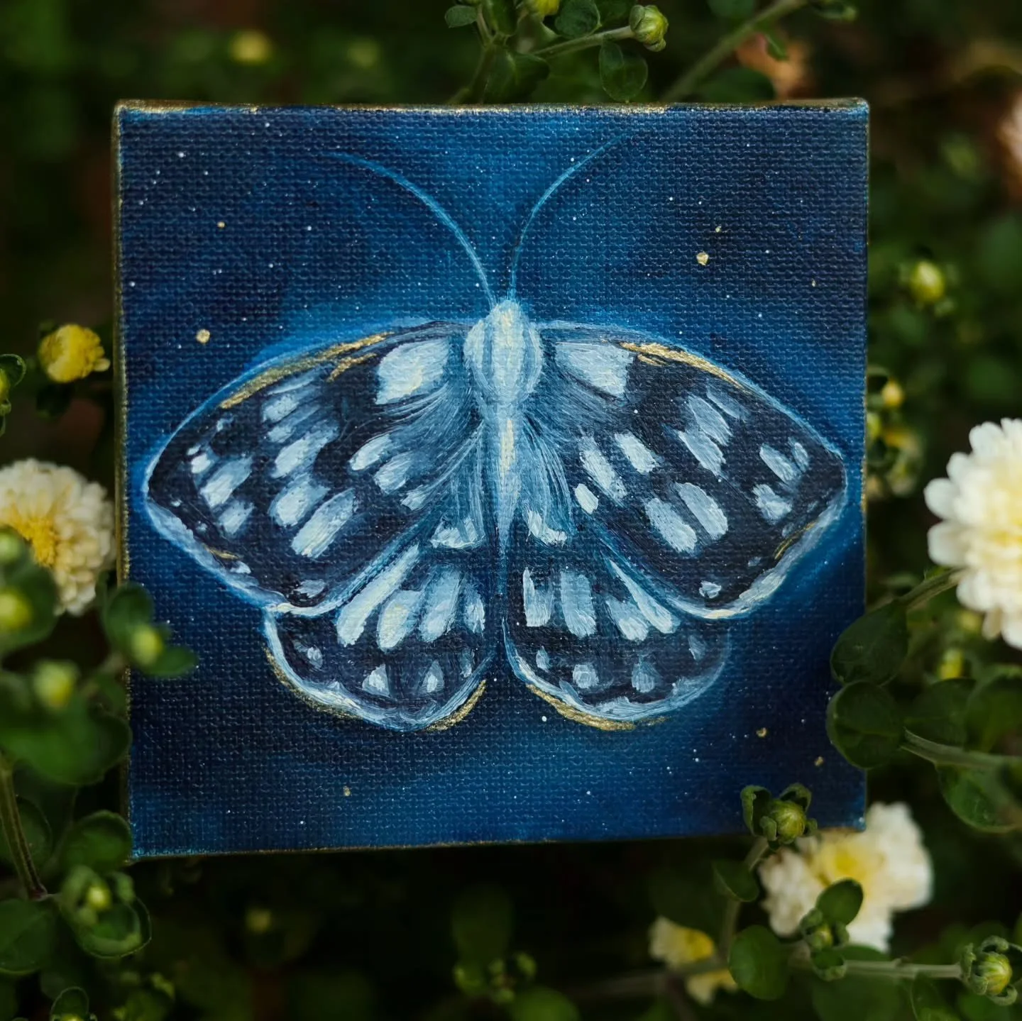 Mini Butterfly Oil Paintings ✨️🦋
.
.
Butterflies represent change and personal growth 🦋
.
Which Butterfly painting is your favorite, or do you have a specific kind of Butterfly you love most? I really love Monarchs and I love the Blue and Common Mo