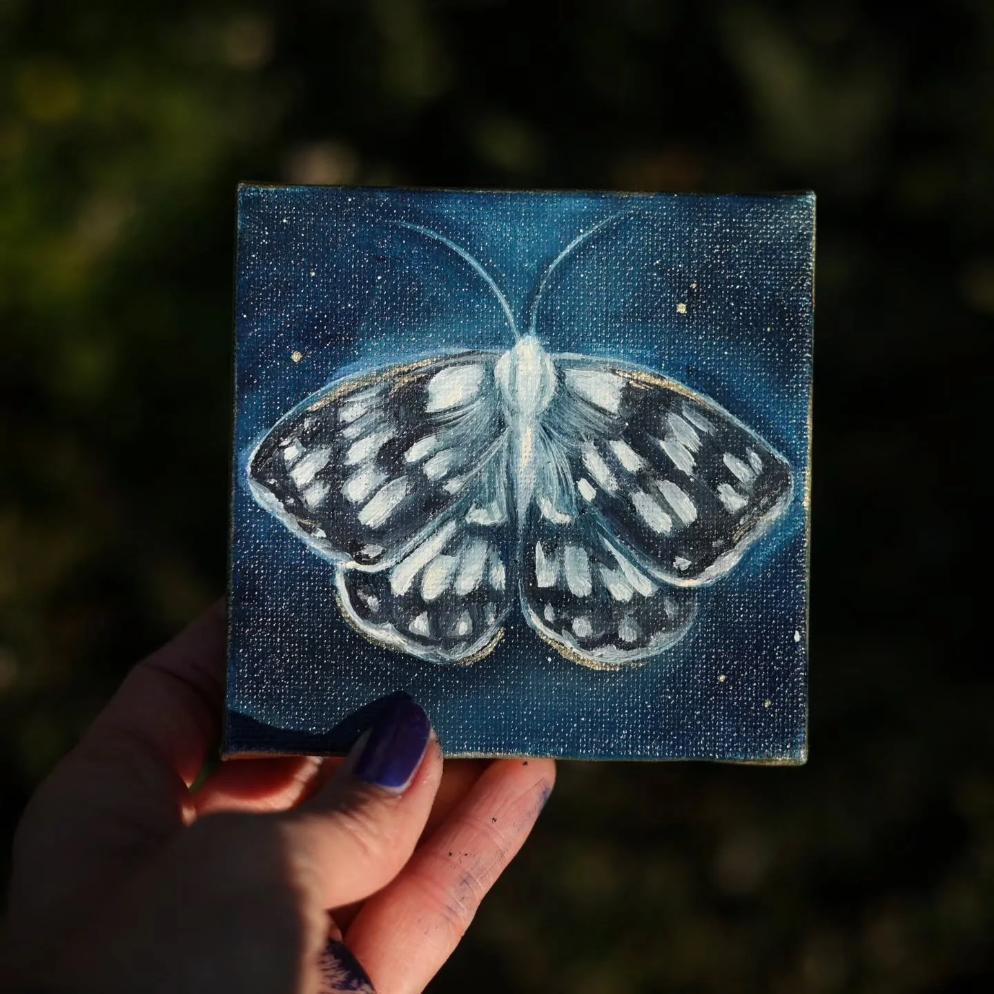 When the lighting is just right✨️🦋
.
.
#minipaintings #butterflyoilpainting #oilpainting
