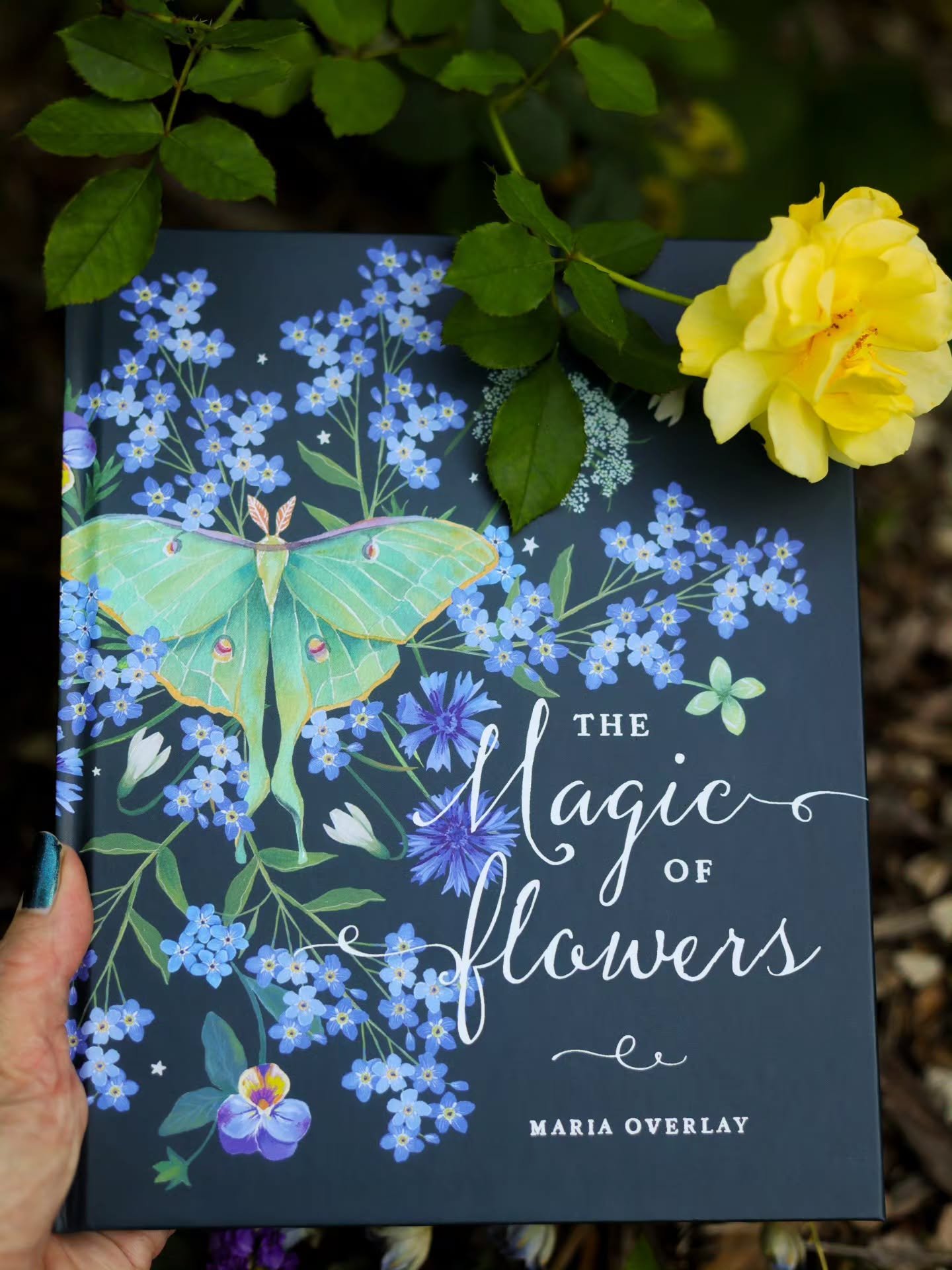 Tomorrow I will be attending a pop up at the magical shoppe @piecesofjayde here in downtown Valparaiso!💐✨️
.
I will have signed copies of my book, The Magic of Flowers and a free bookmark and seed packet for book purchases!🌼
.
We will also have a m