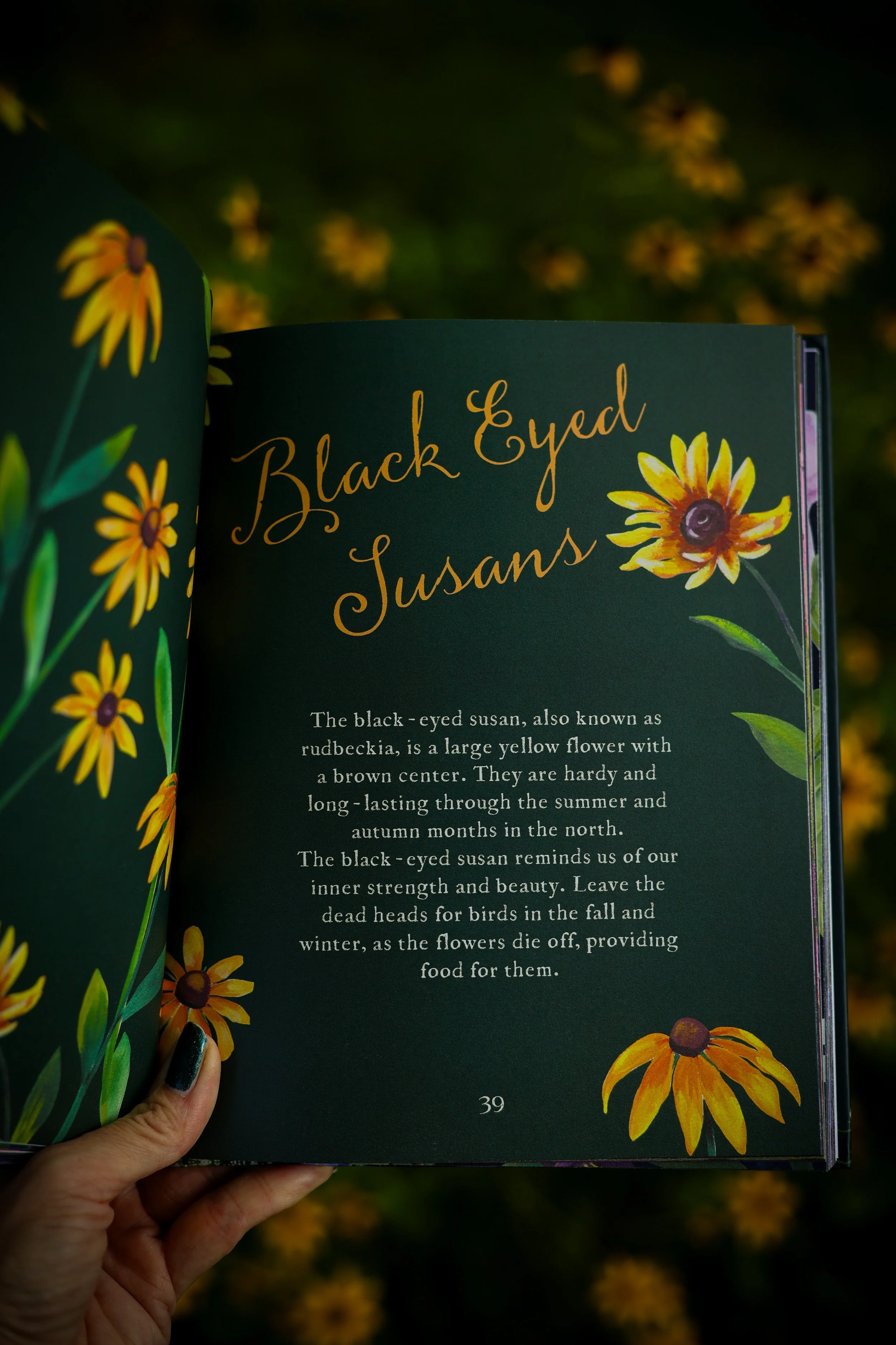 black eyed susans painted inside of book