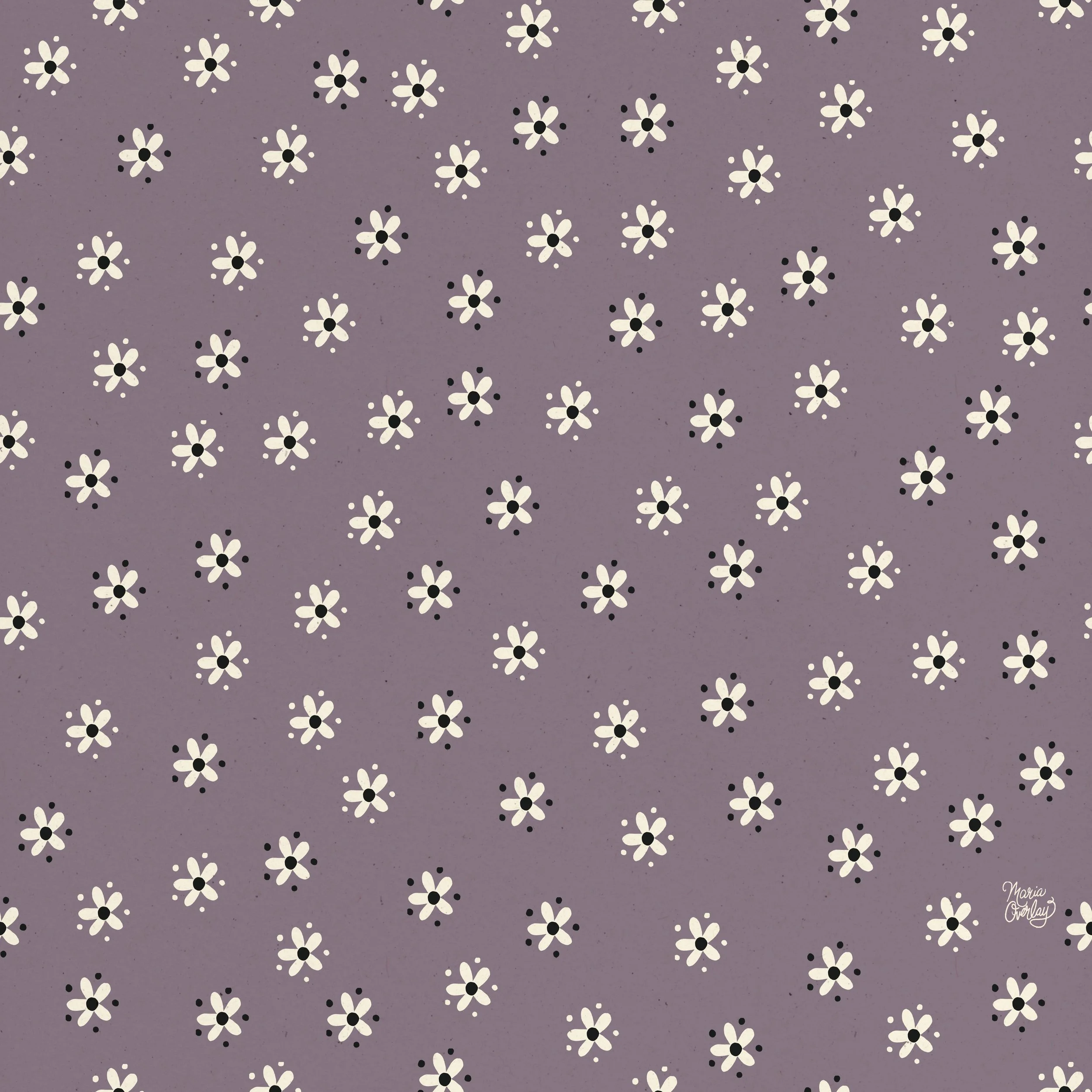 Lavender Daisies
