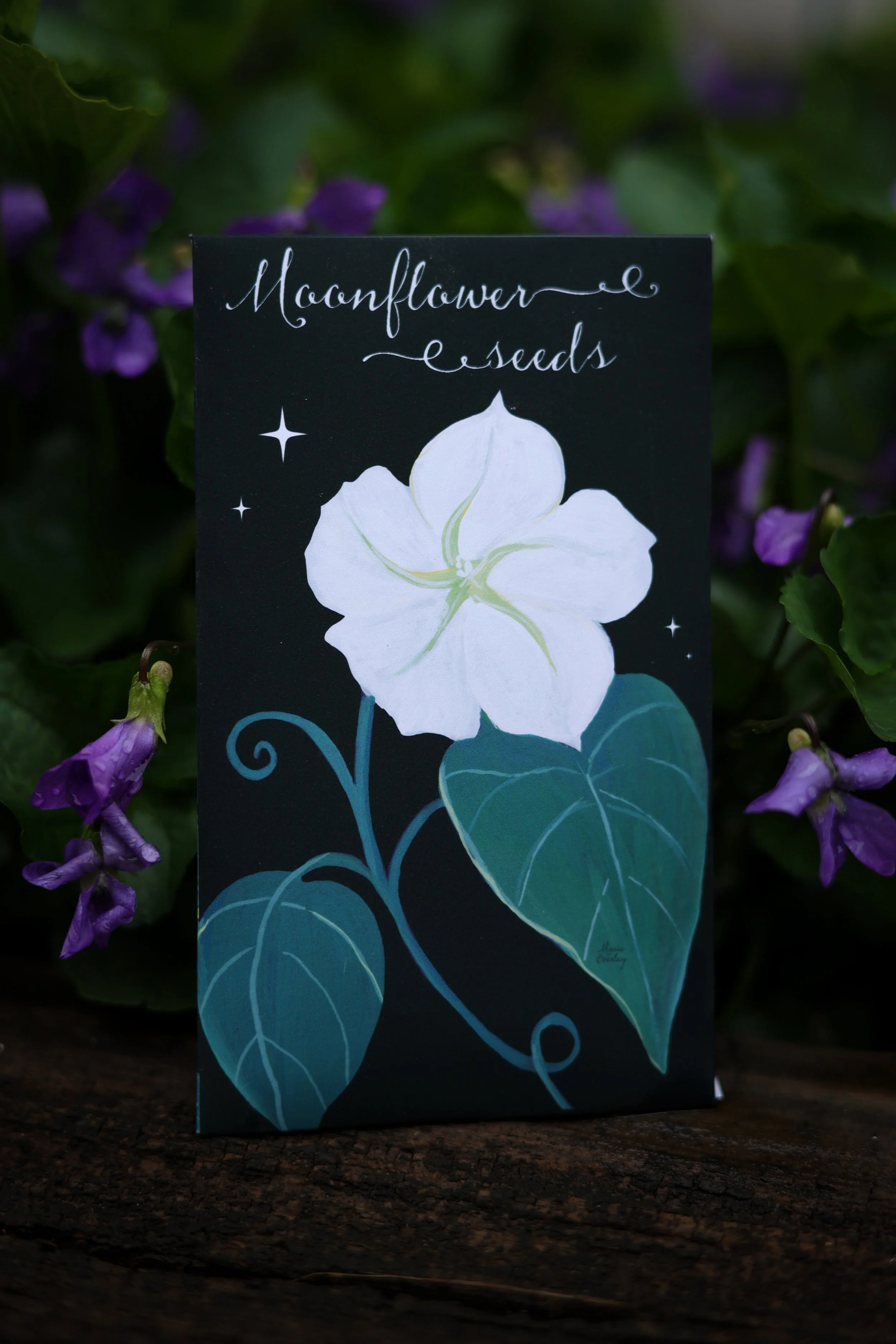 Moonflower Seed Packet