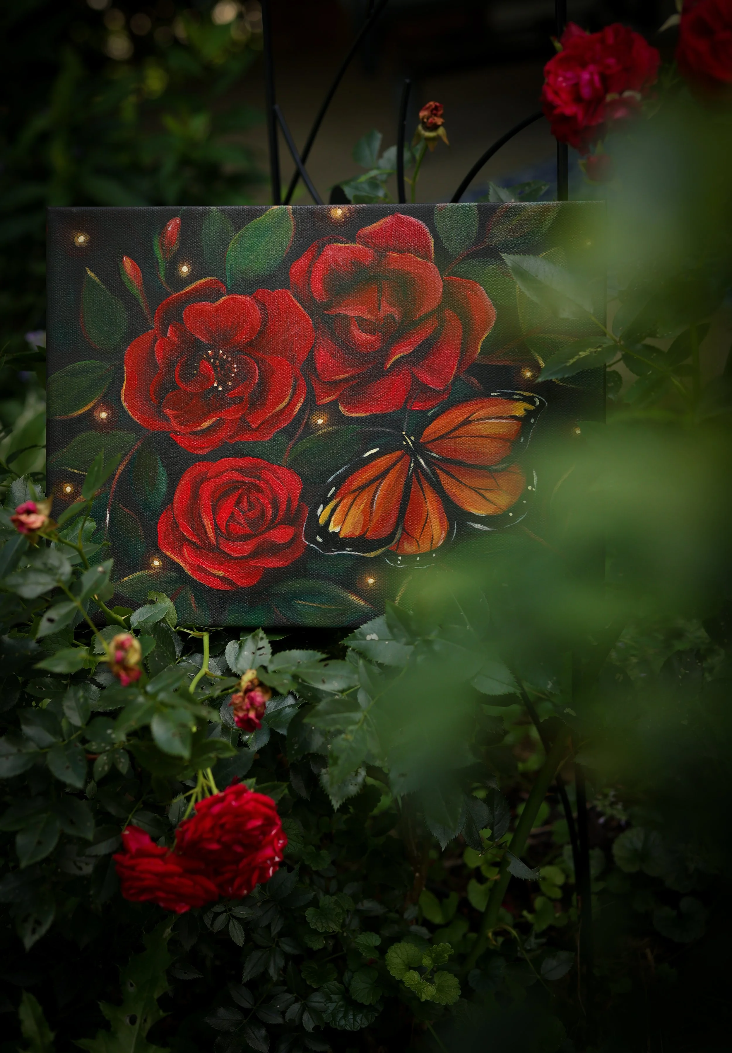 monarch painting with red roses in a rose bush