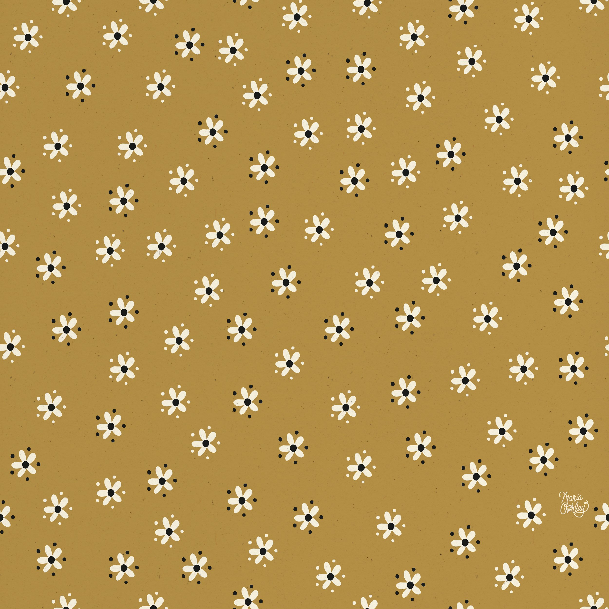 Mustard Daisies