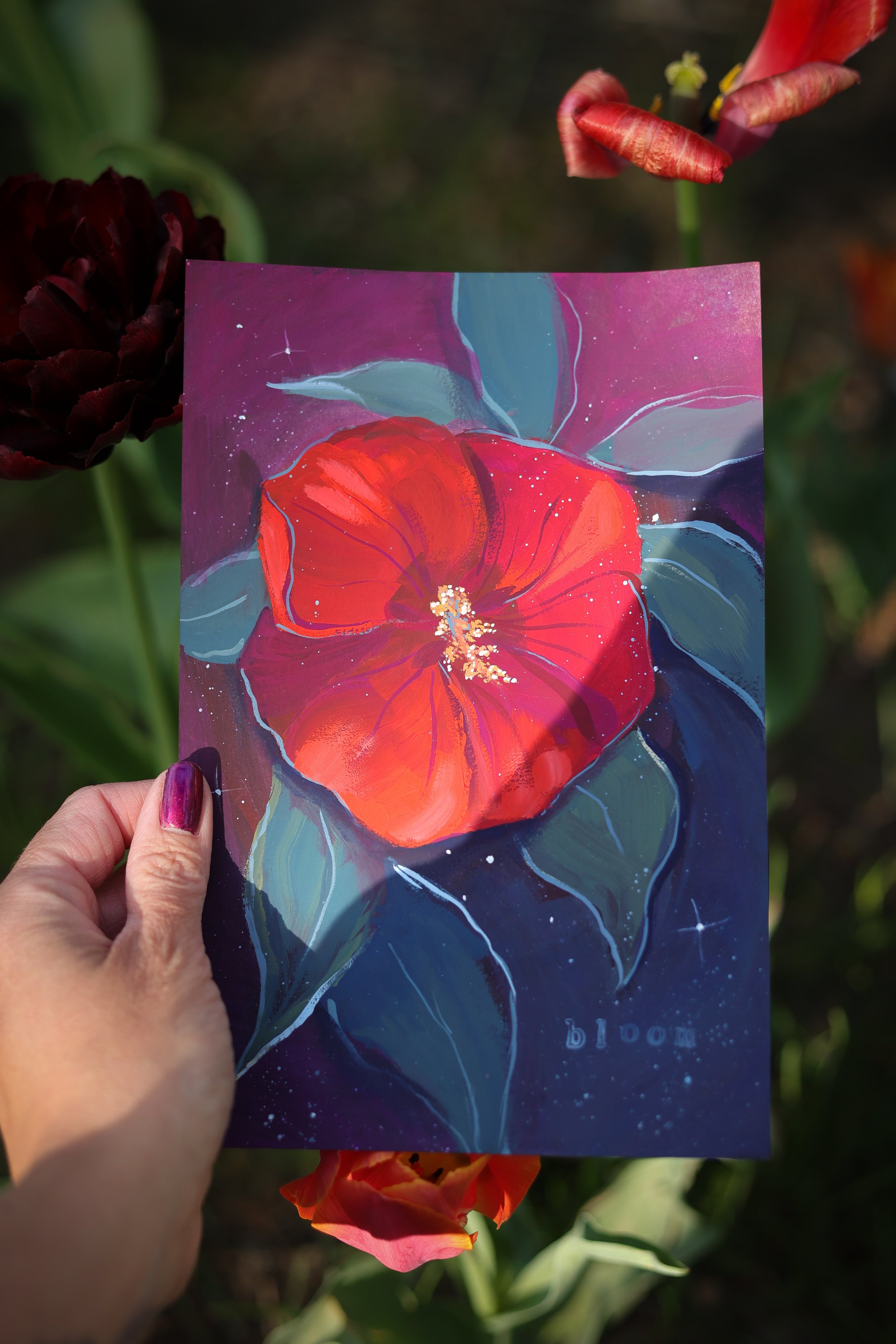Bloom-Hybiscus