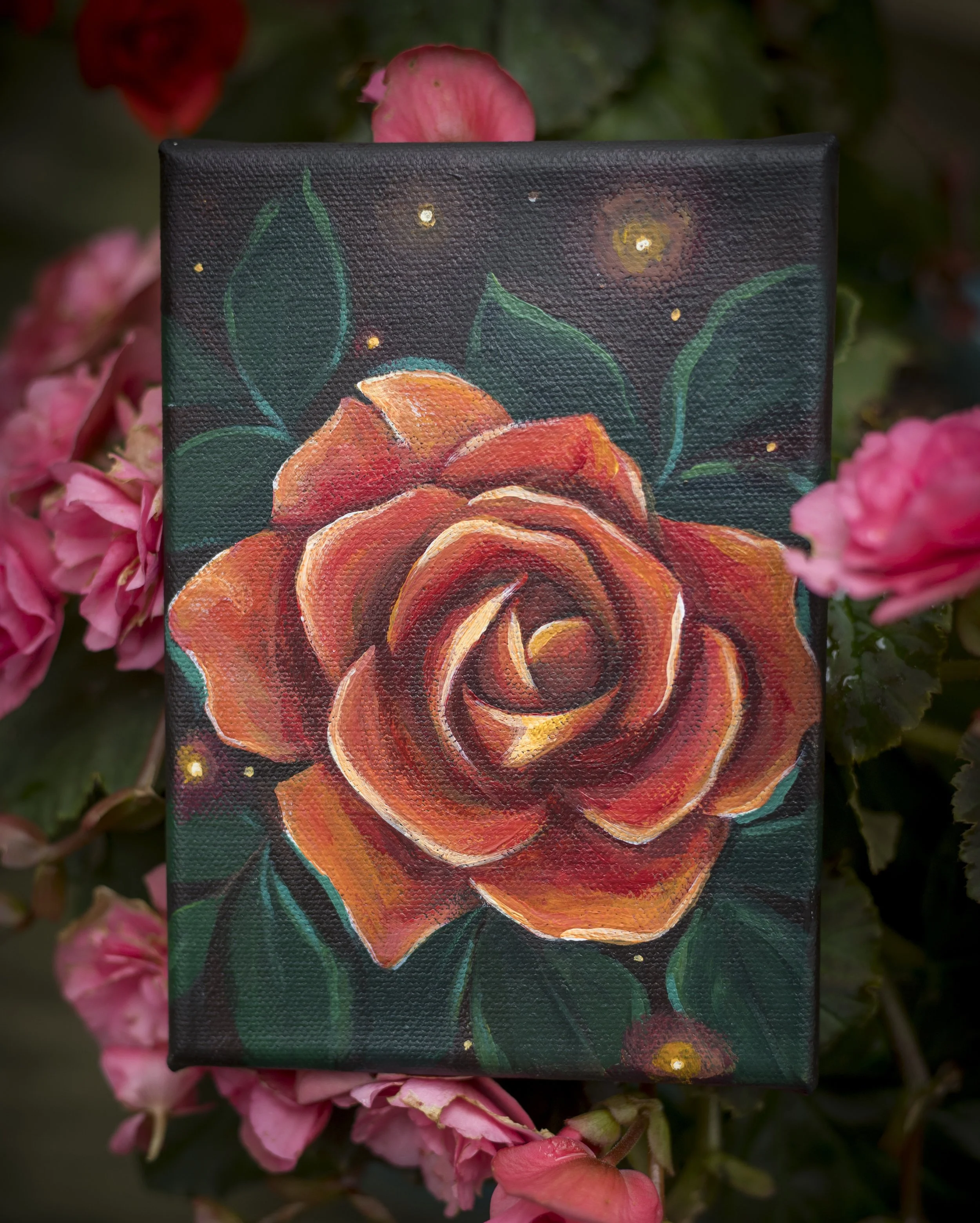 orange rose1.jpg