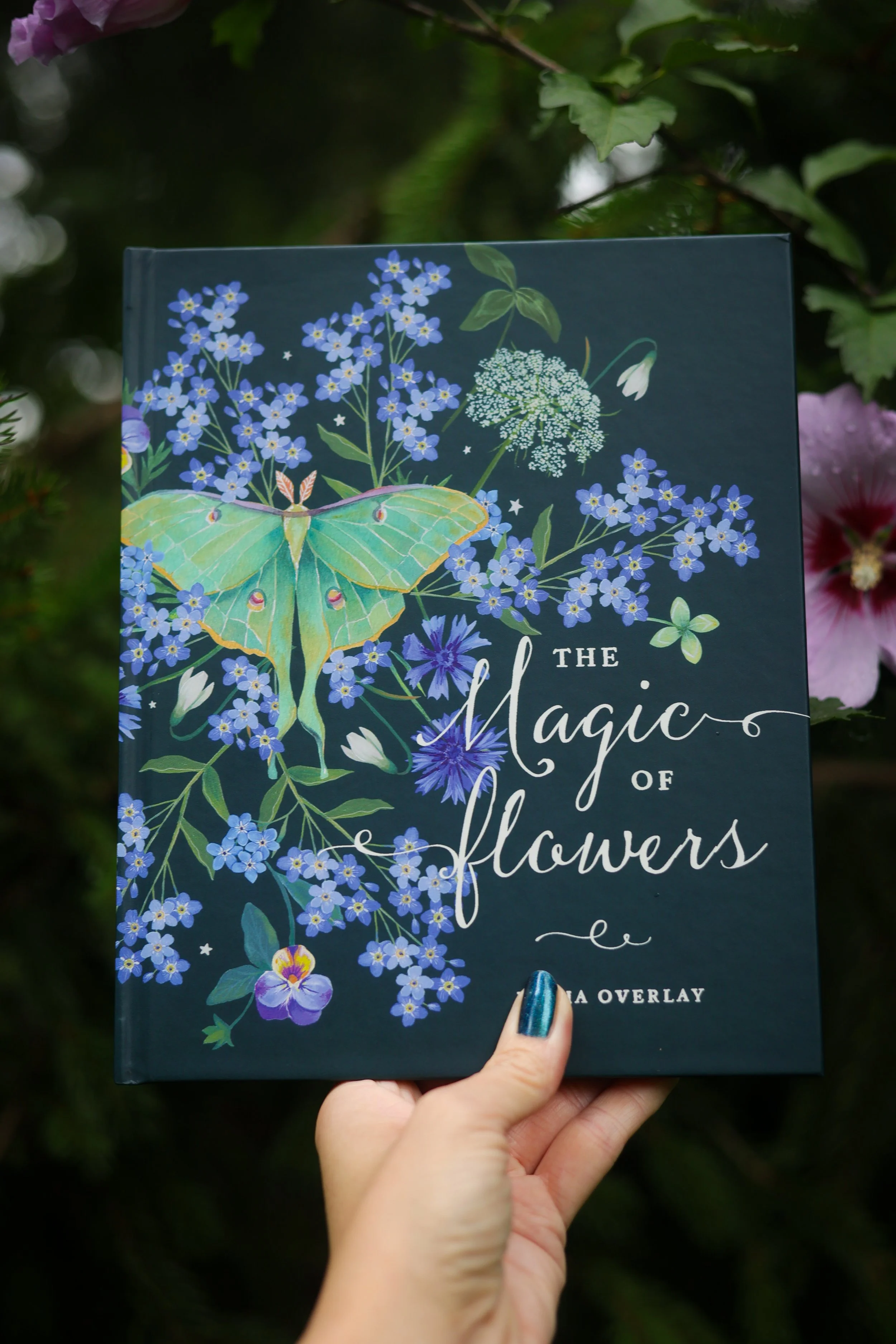 The Magic of Flowers Book held by Artist hand Book is green with a luna moth and flowers