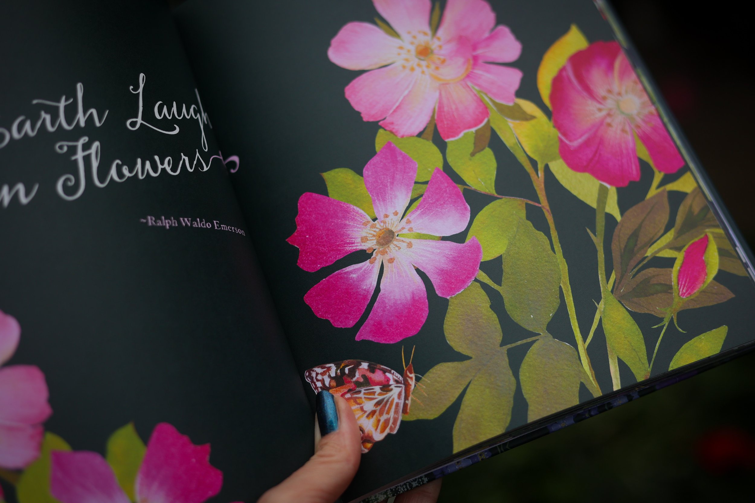 book interior roses and painted lady butterfly