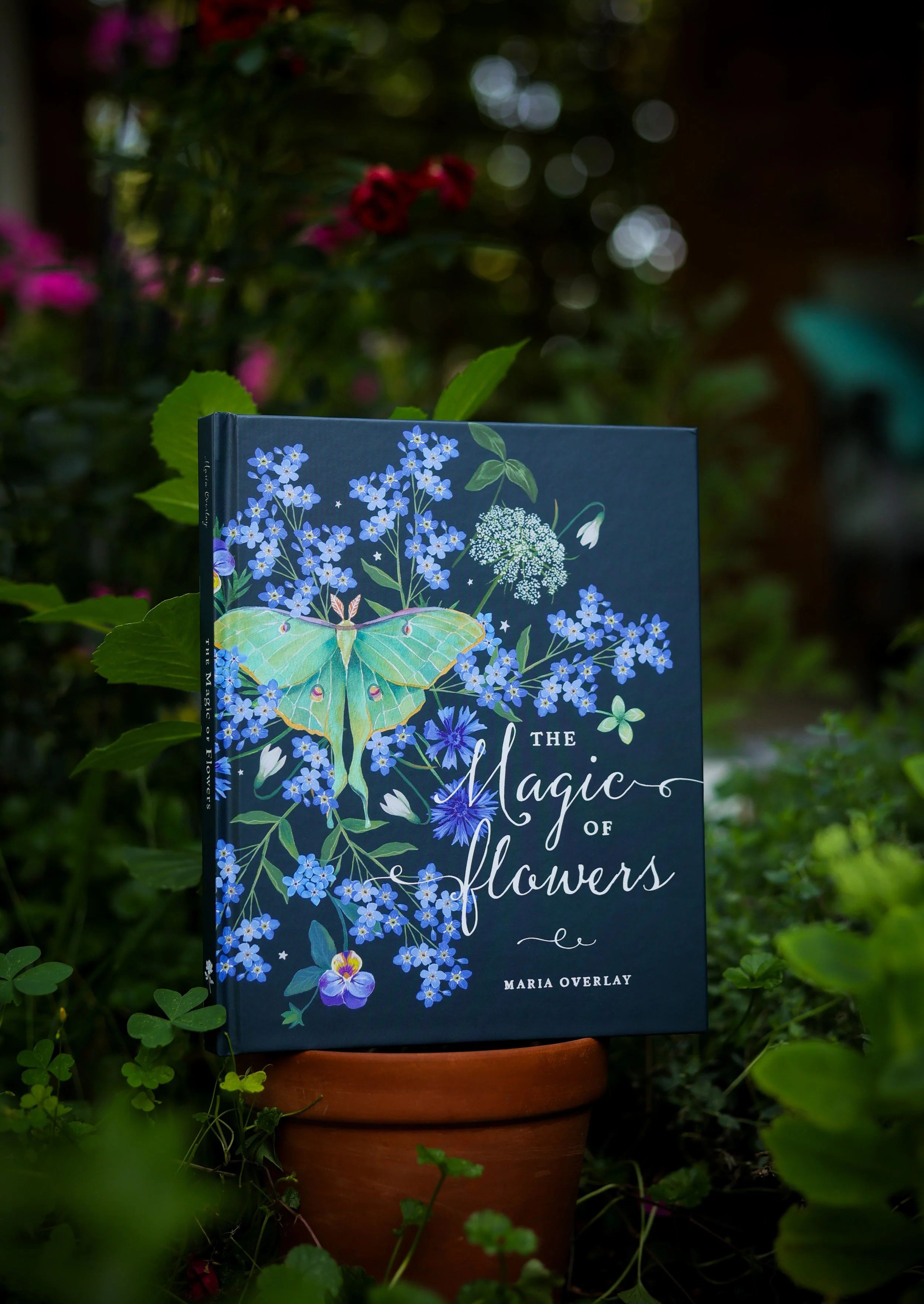 Book with colorful art of flowers and a luna moth