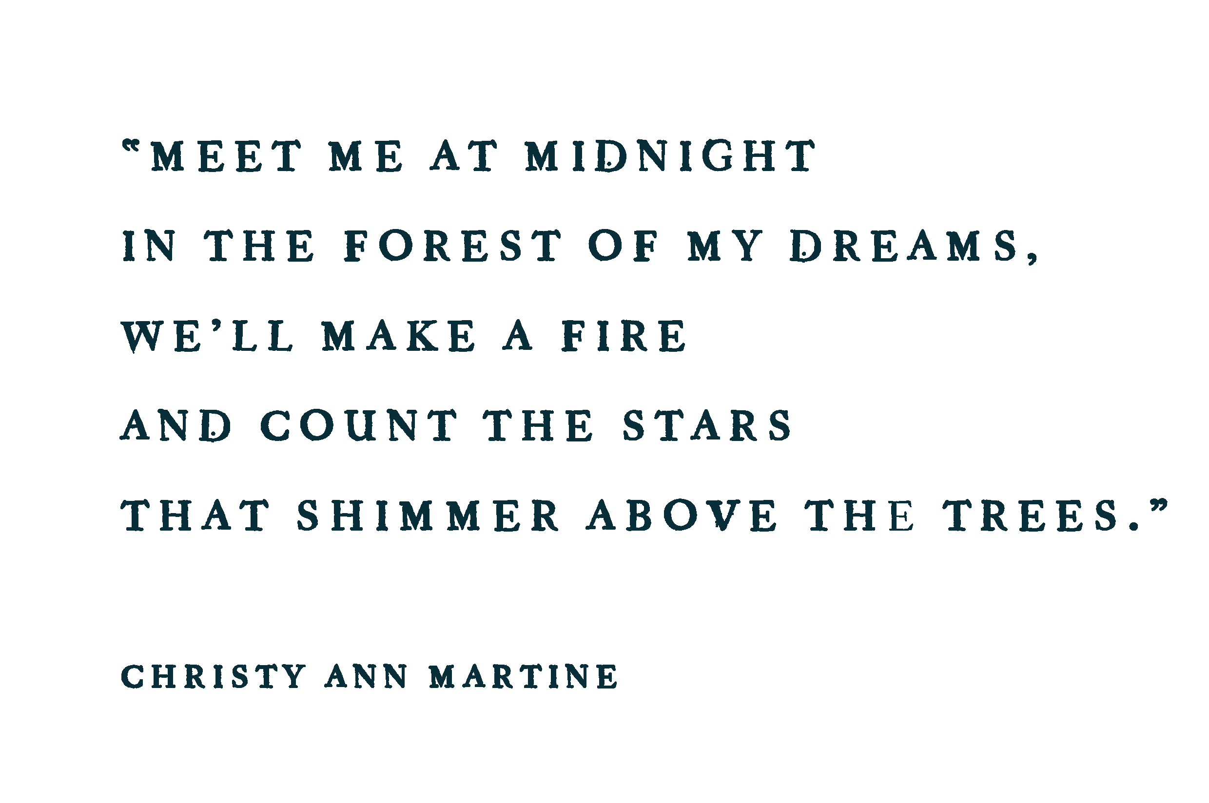 a quote by christy ann martine
