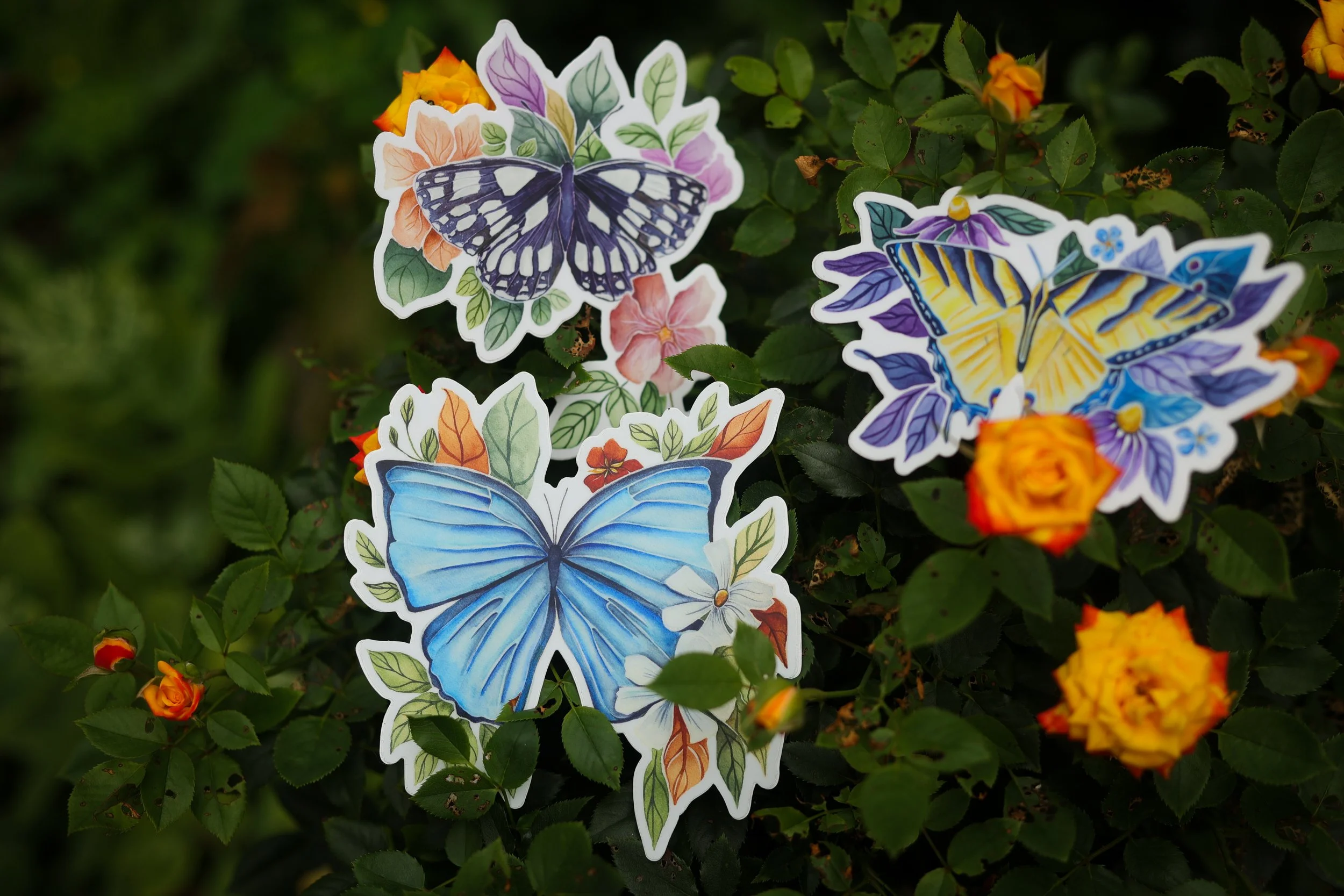 Mosaic Mariposa Sticker Pack 🦋 Blue Morpho, Yellow Swallowtail and Marbled Butterfly