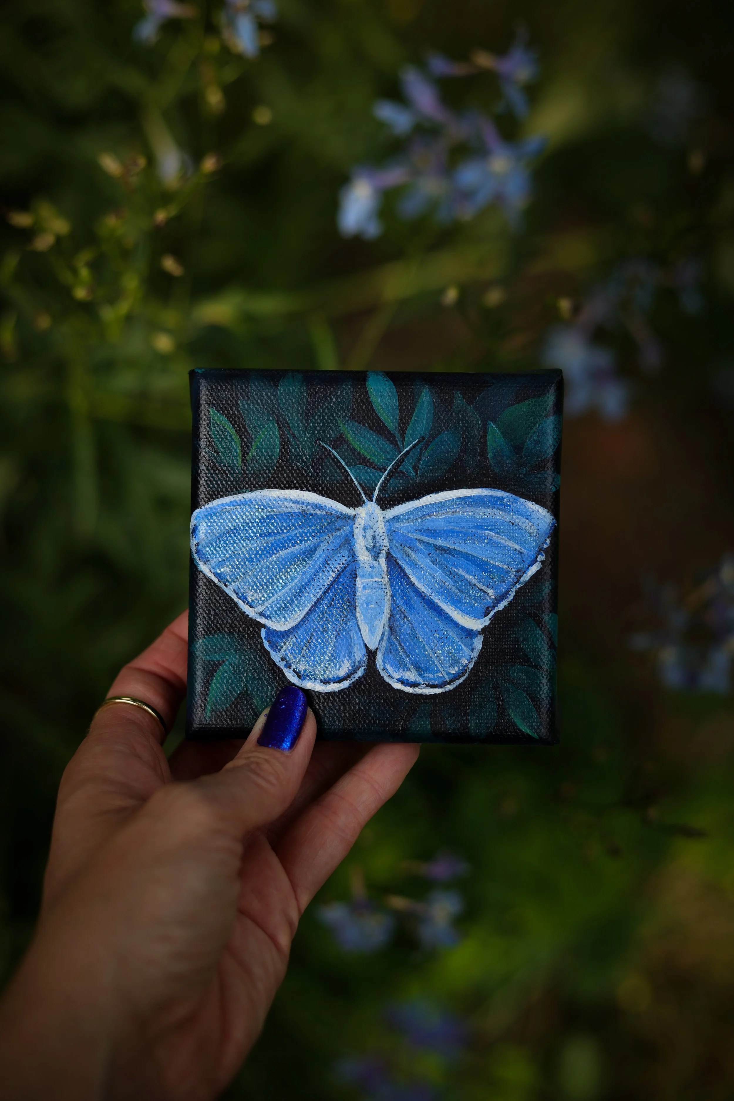 summer azure butterfly painting