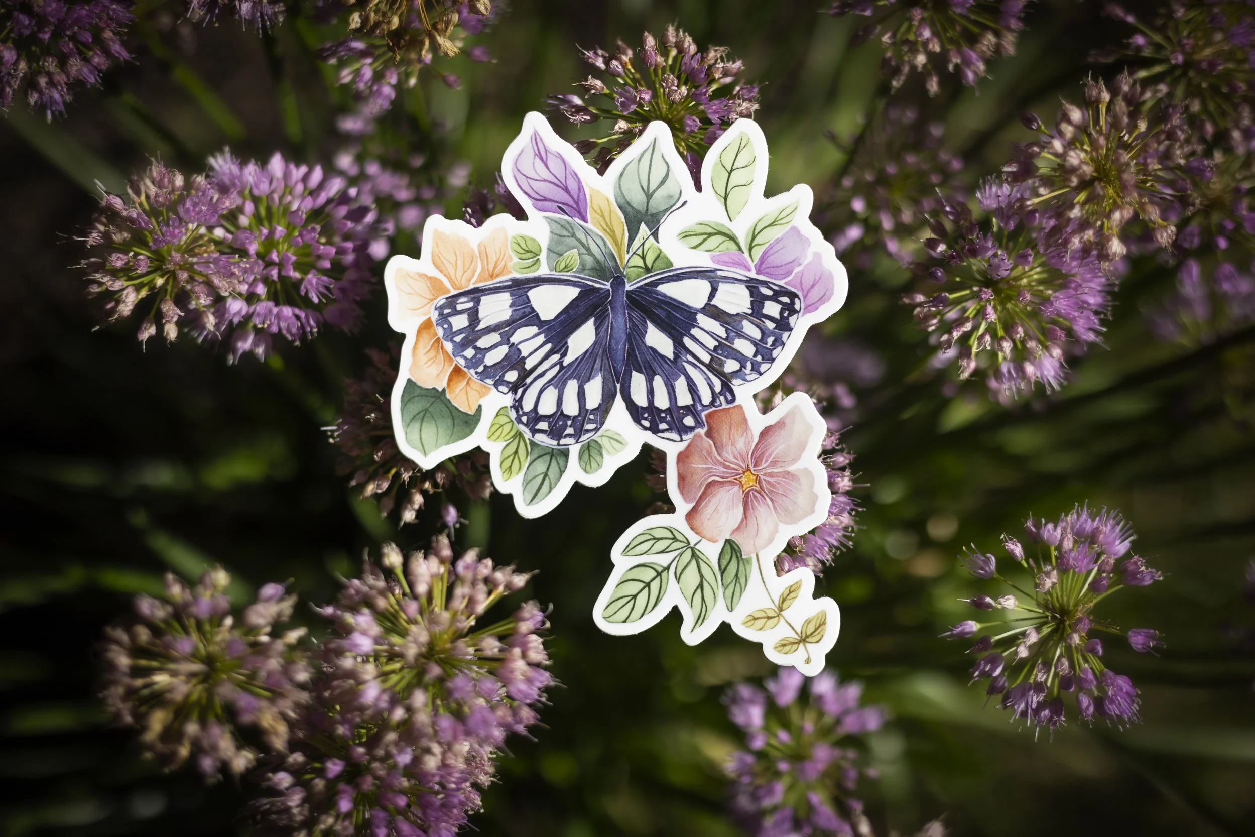 bwbuttersticker.jpg