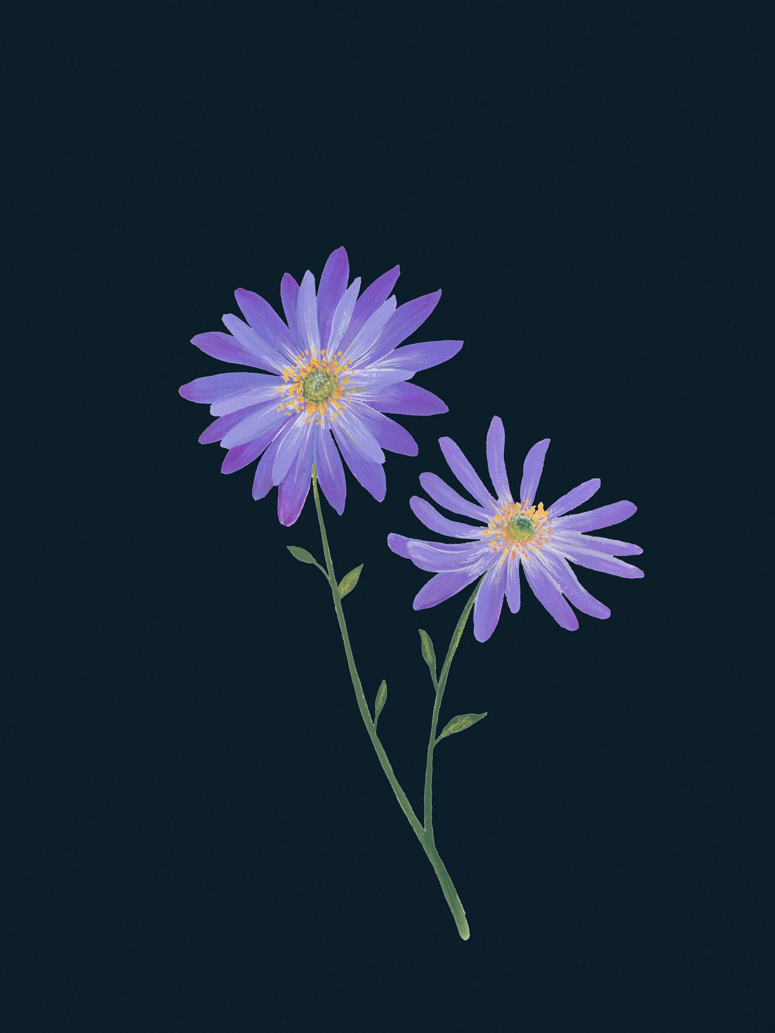 Aster Painting
