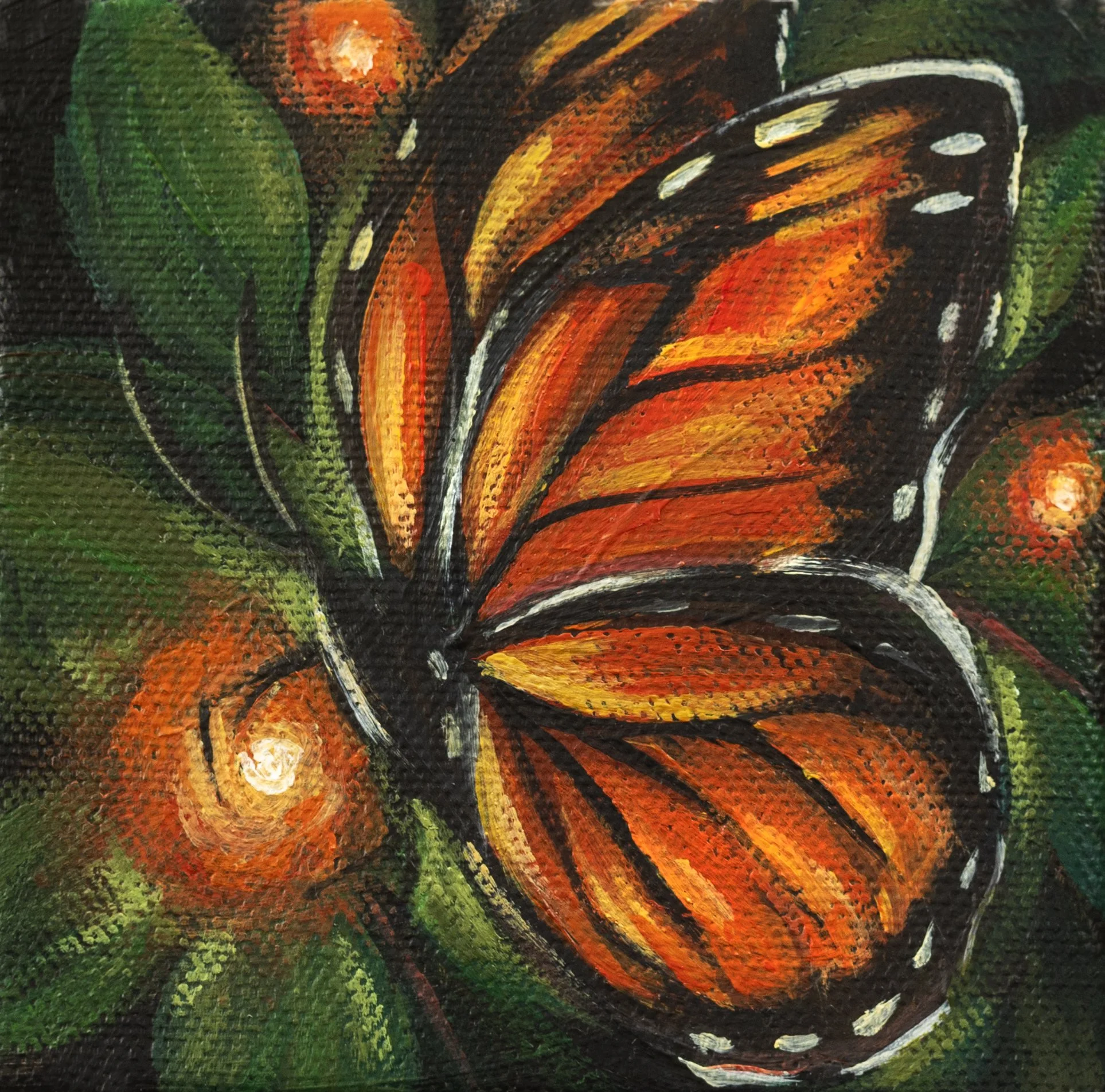 Monarch.jpg
