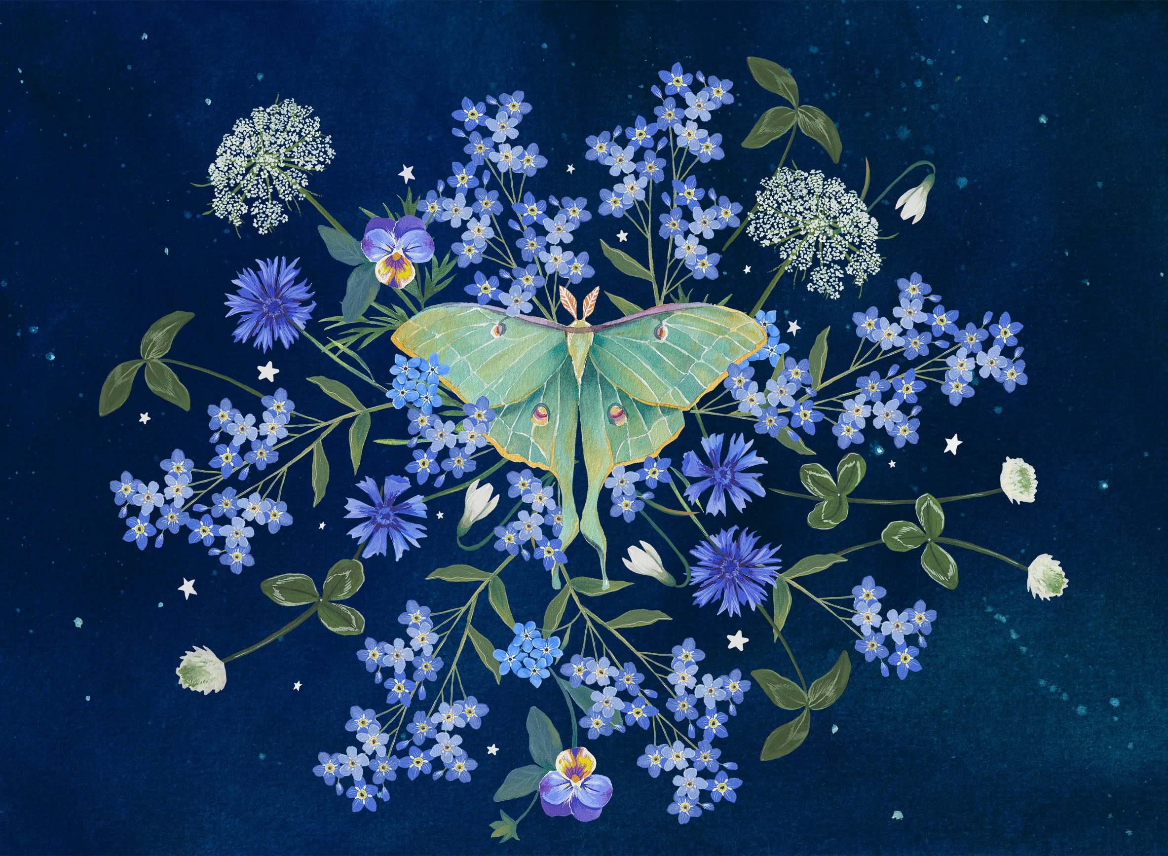 Luna moth and floral art watercolor paintings
