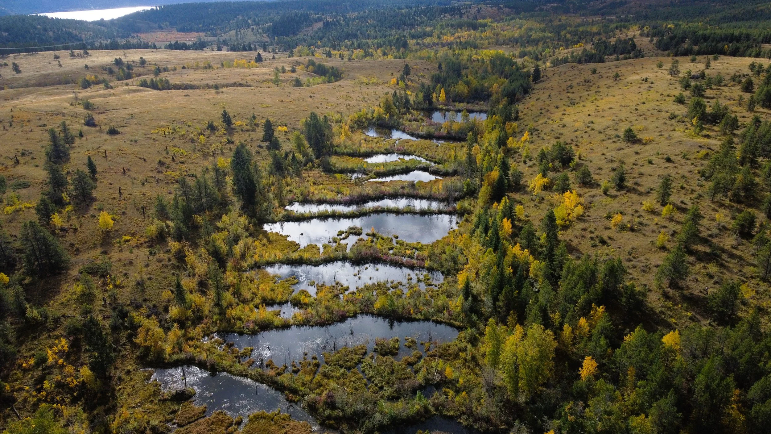 The East Kootenay’s Changing Climate