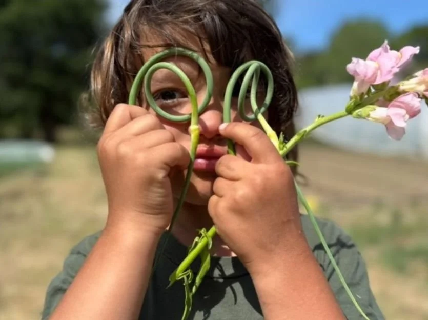 July newsletter image.jpeg