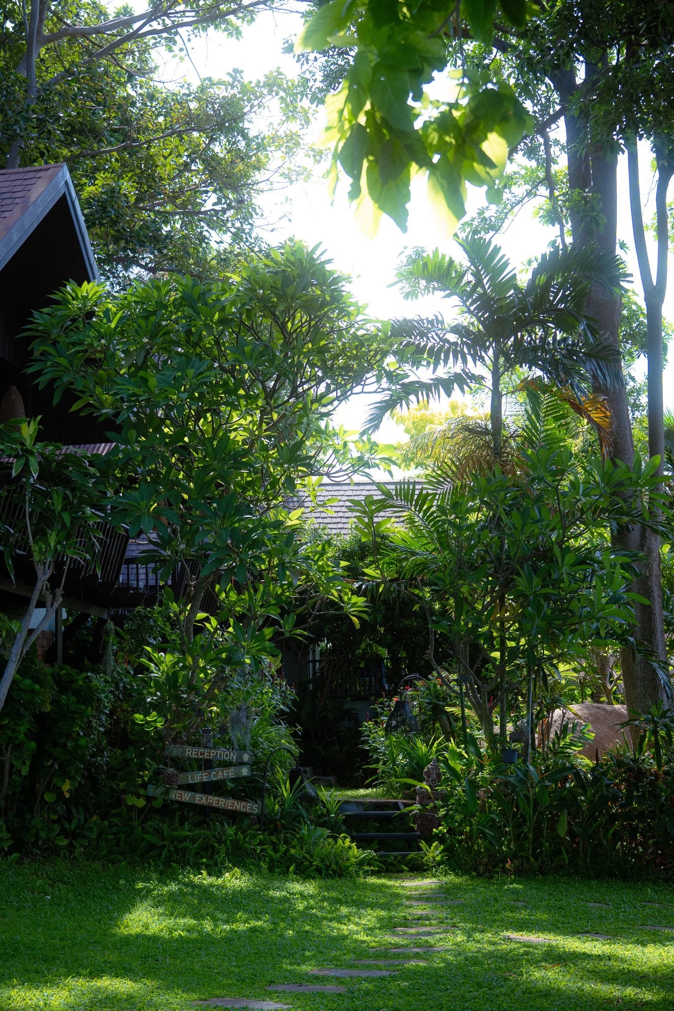 DSC06184.jpg