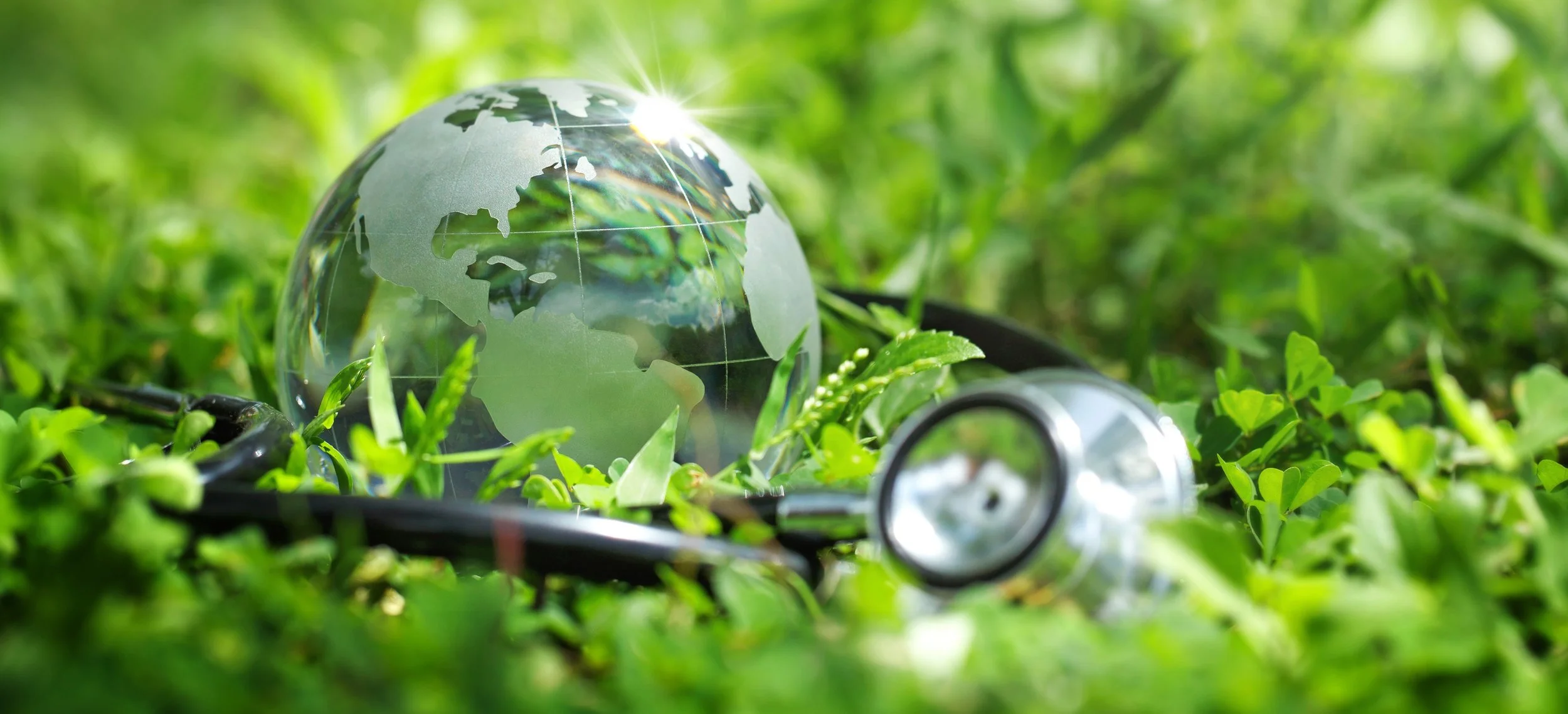 When Innovation Aligns Cost and Sustainability in Healthcare