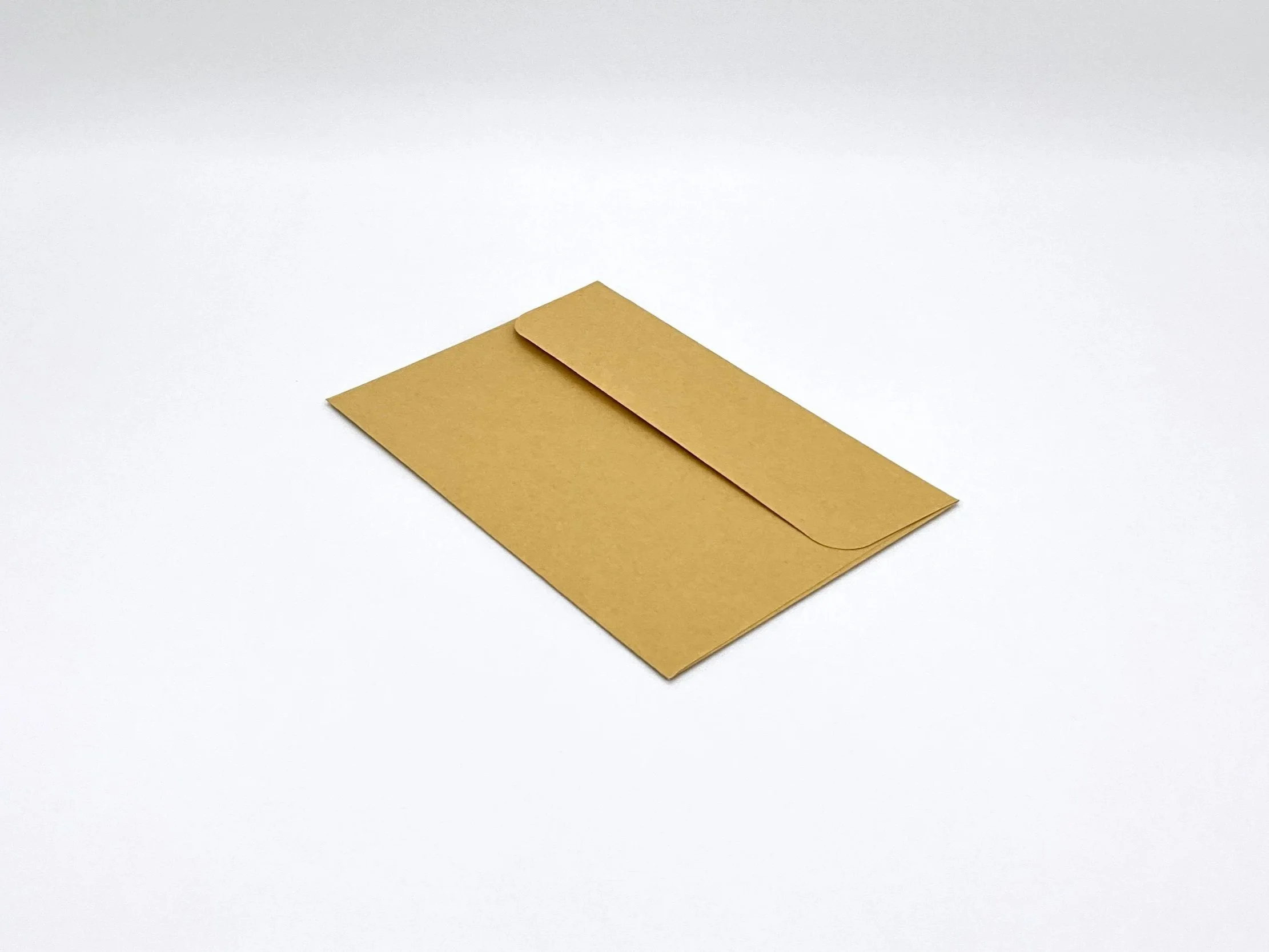 Kraft paper envelope rear