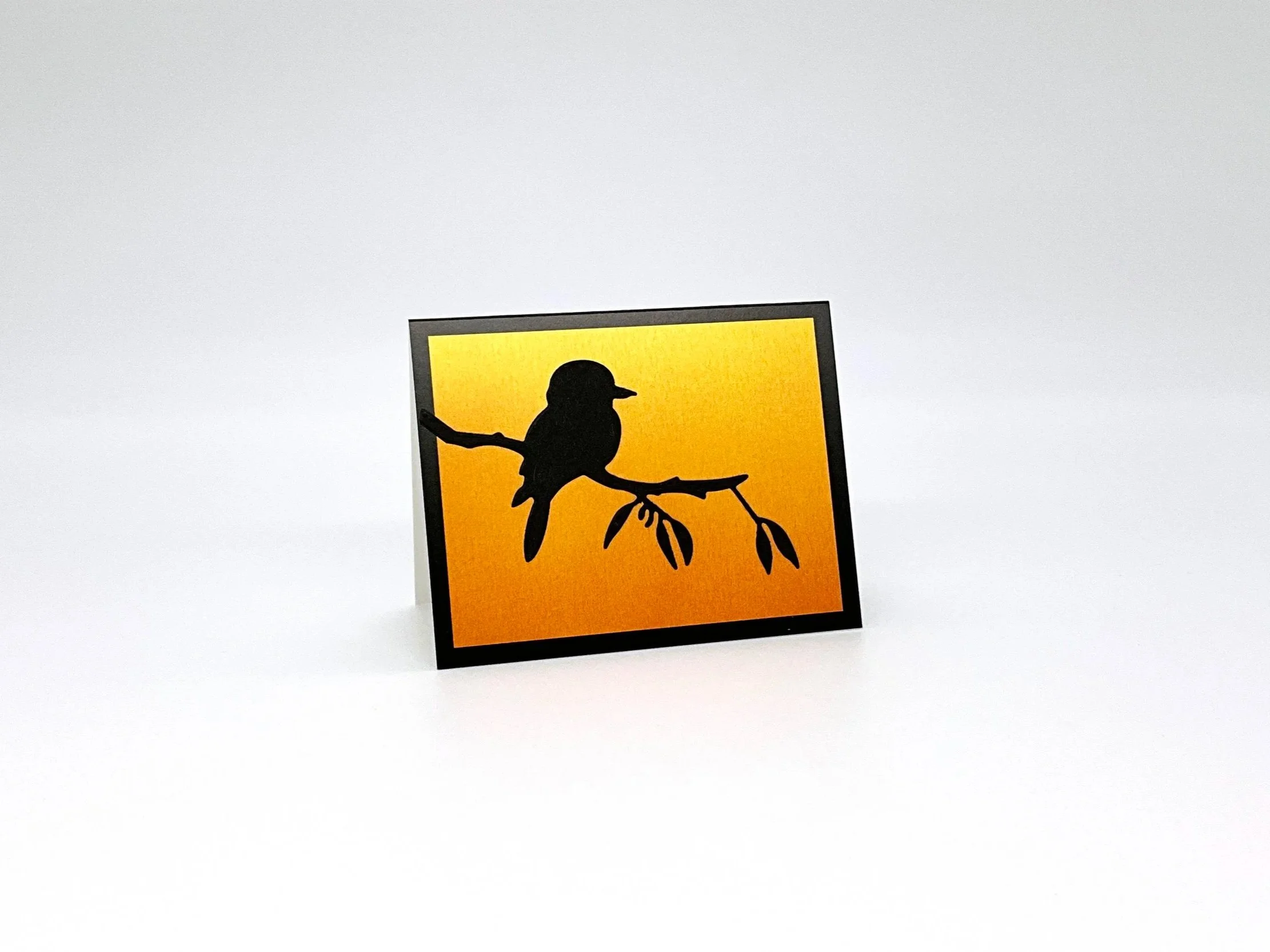 Kookaburra on branch at sunset