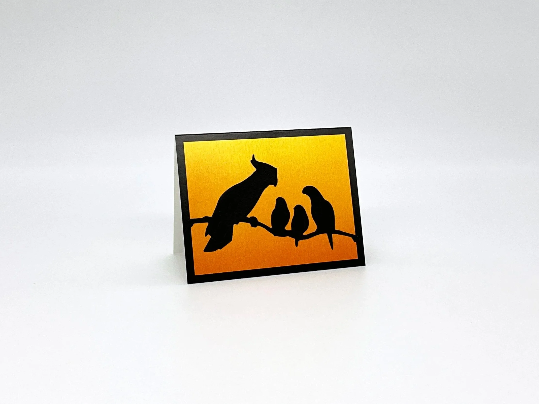 Four birds on branch at sunset