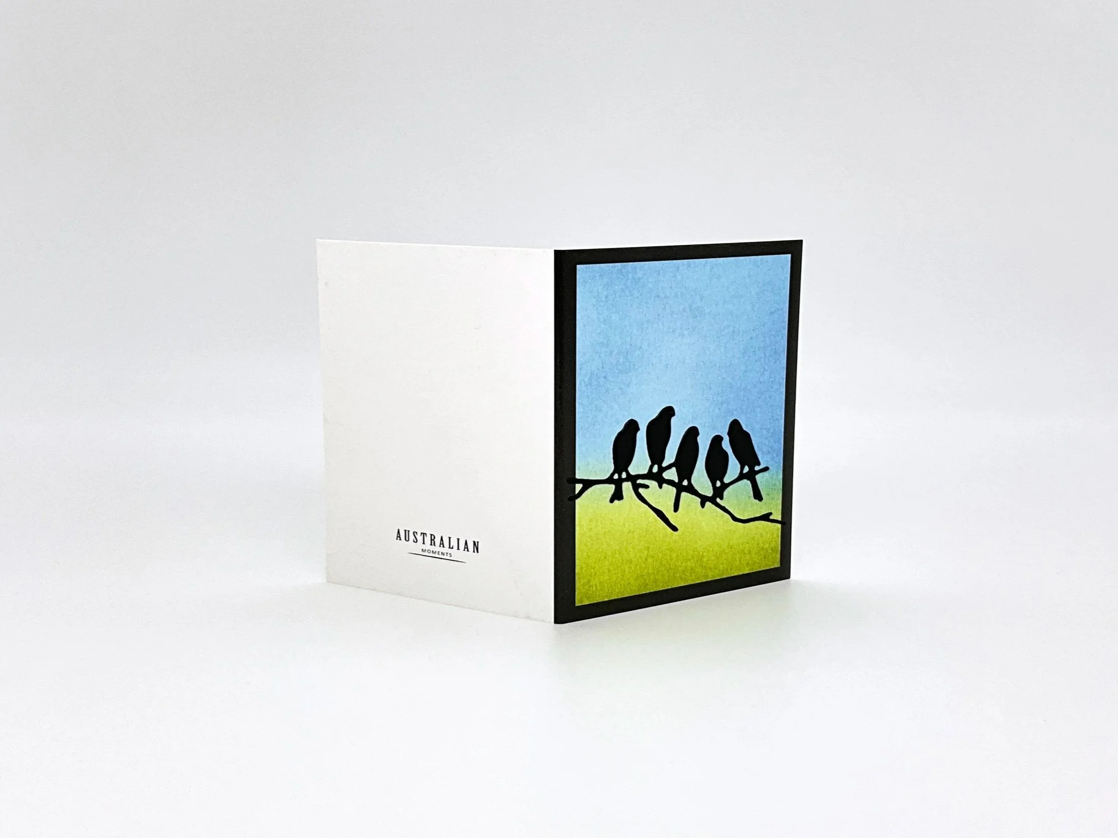 Australian birds on branch daytime