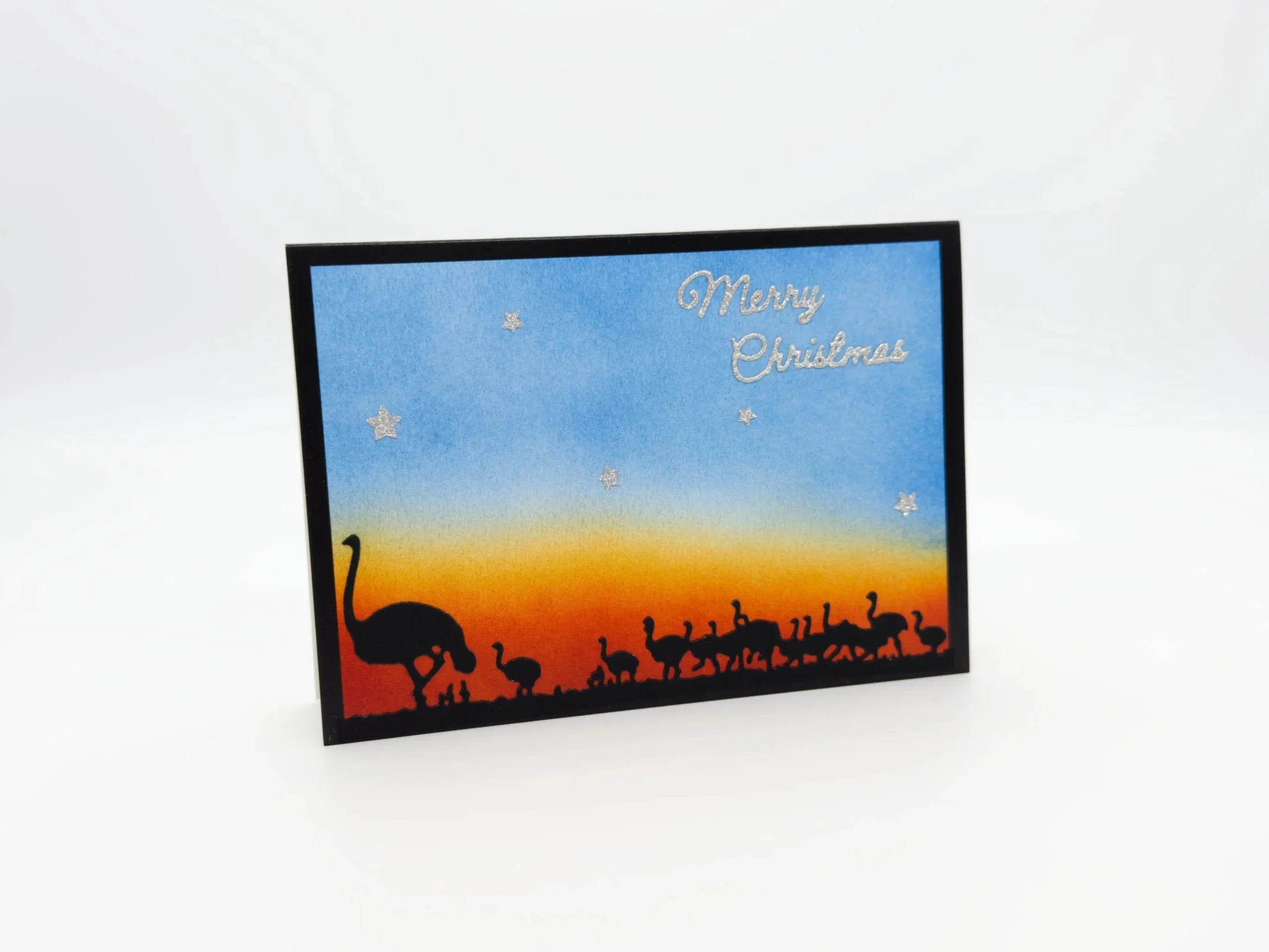 Emus at dusk christmas