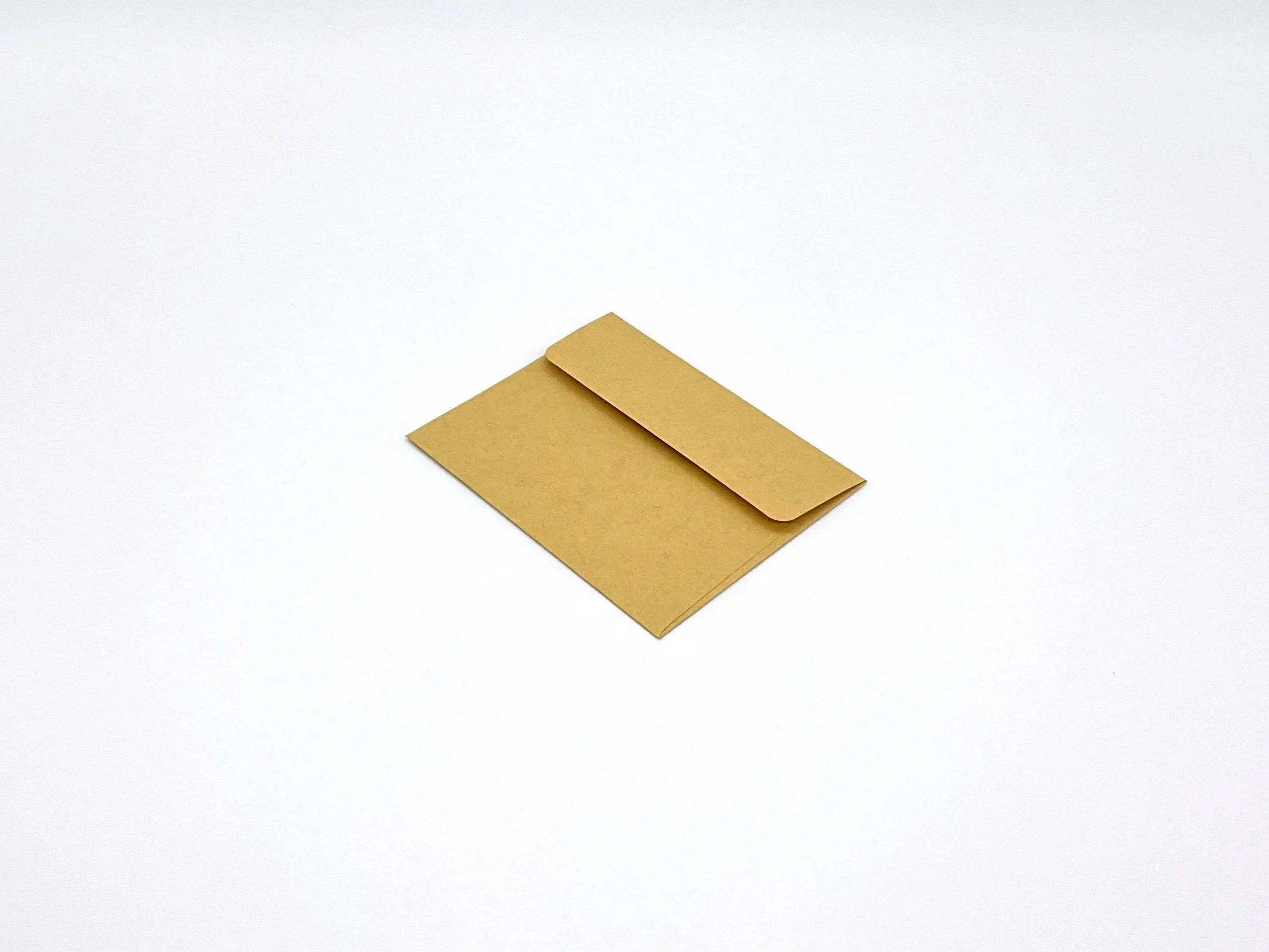 Kraft paper envelope rear small