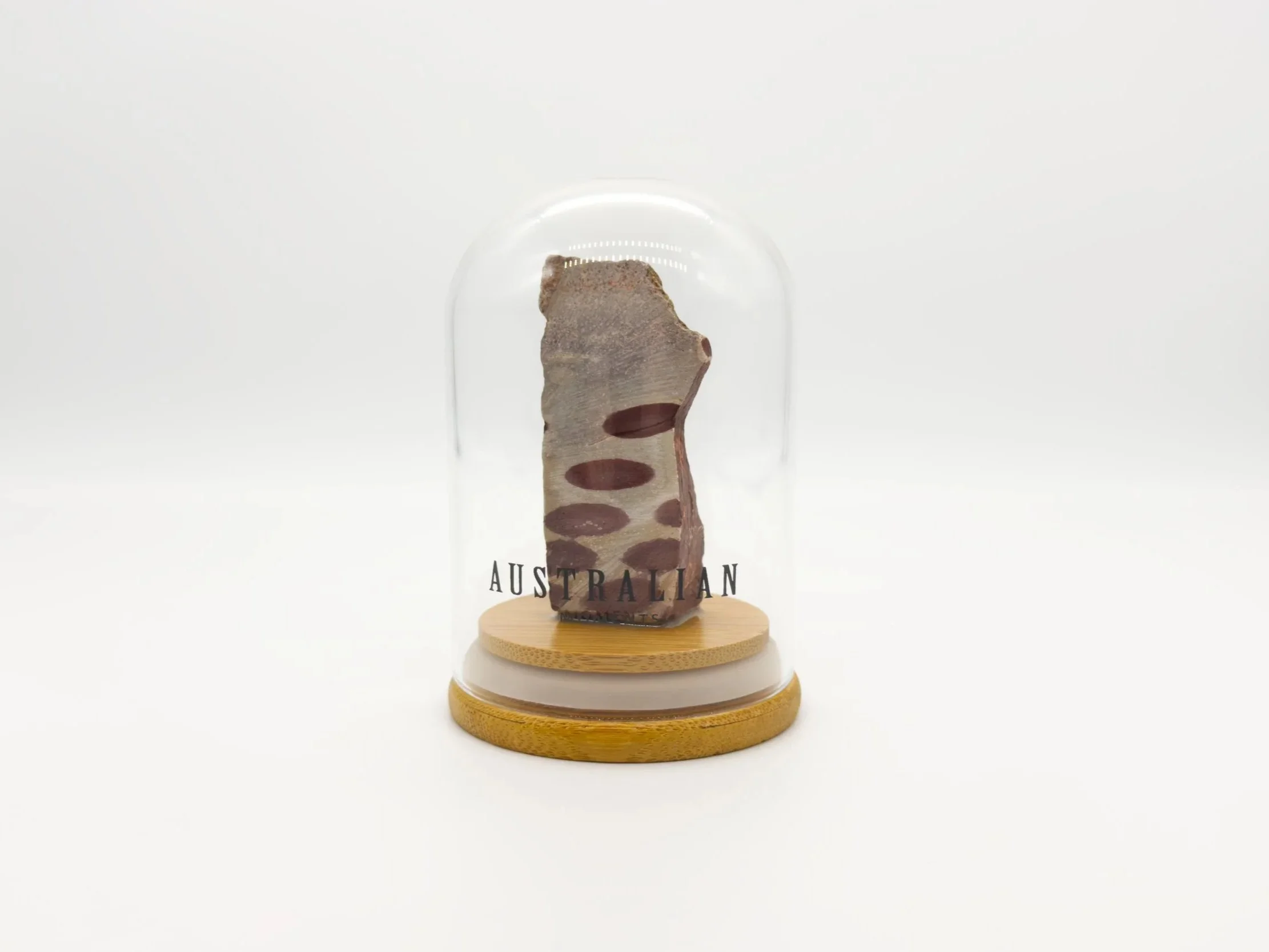 Zebra stone chunk in glass jar