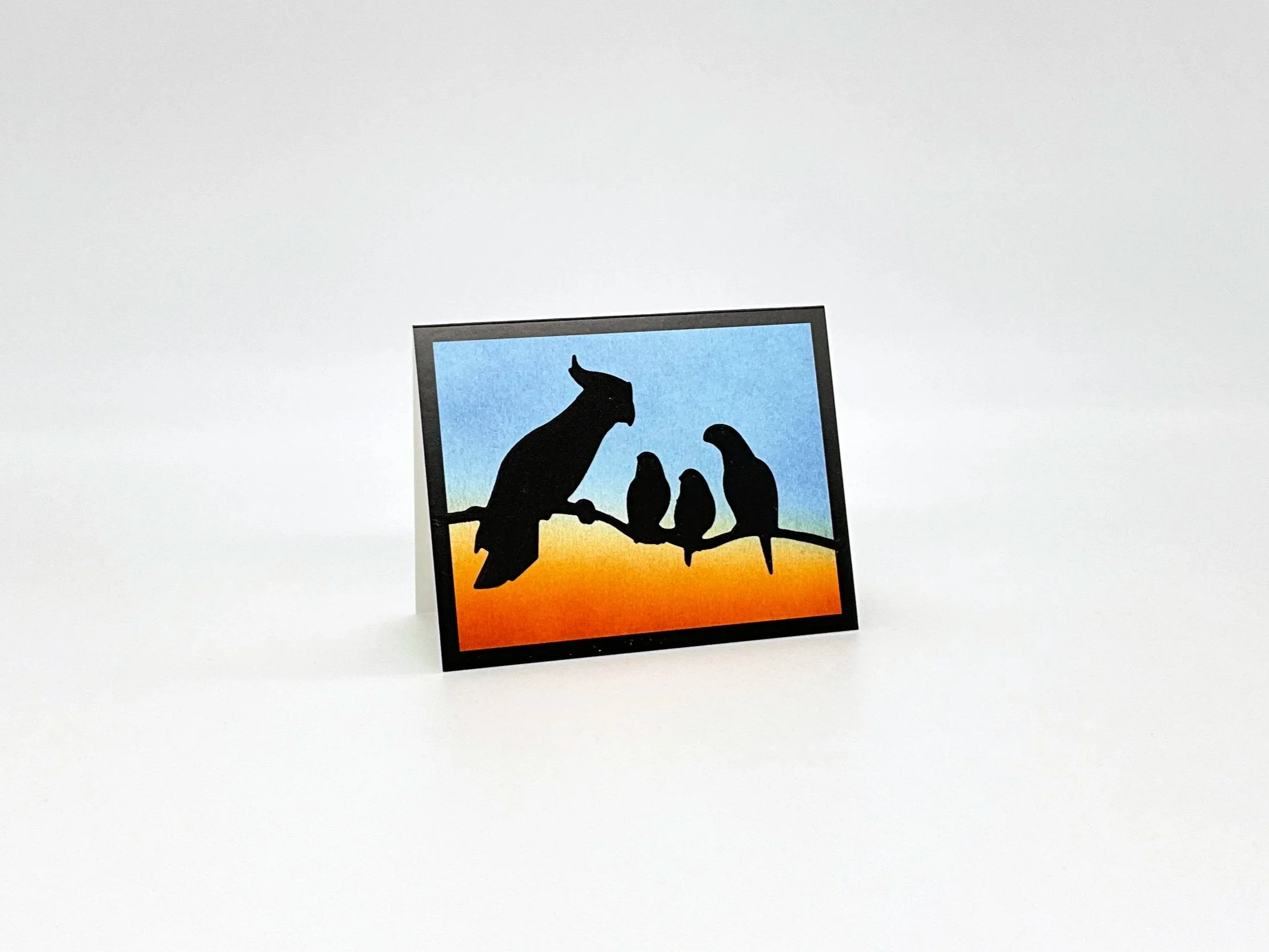 Cockatoo and parrots on branch dusk