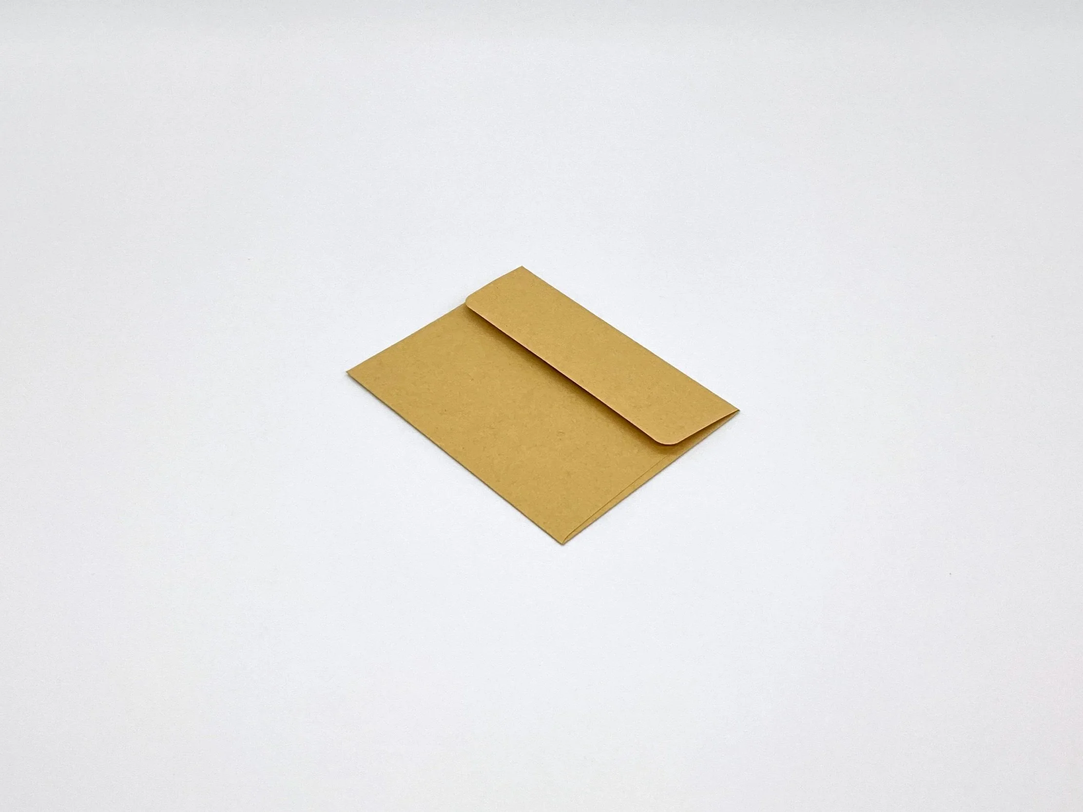 Kraft paper envelope rear