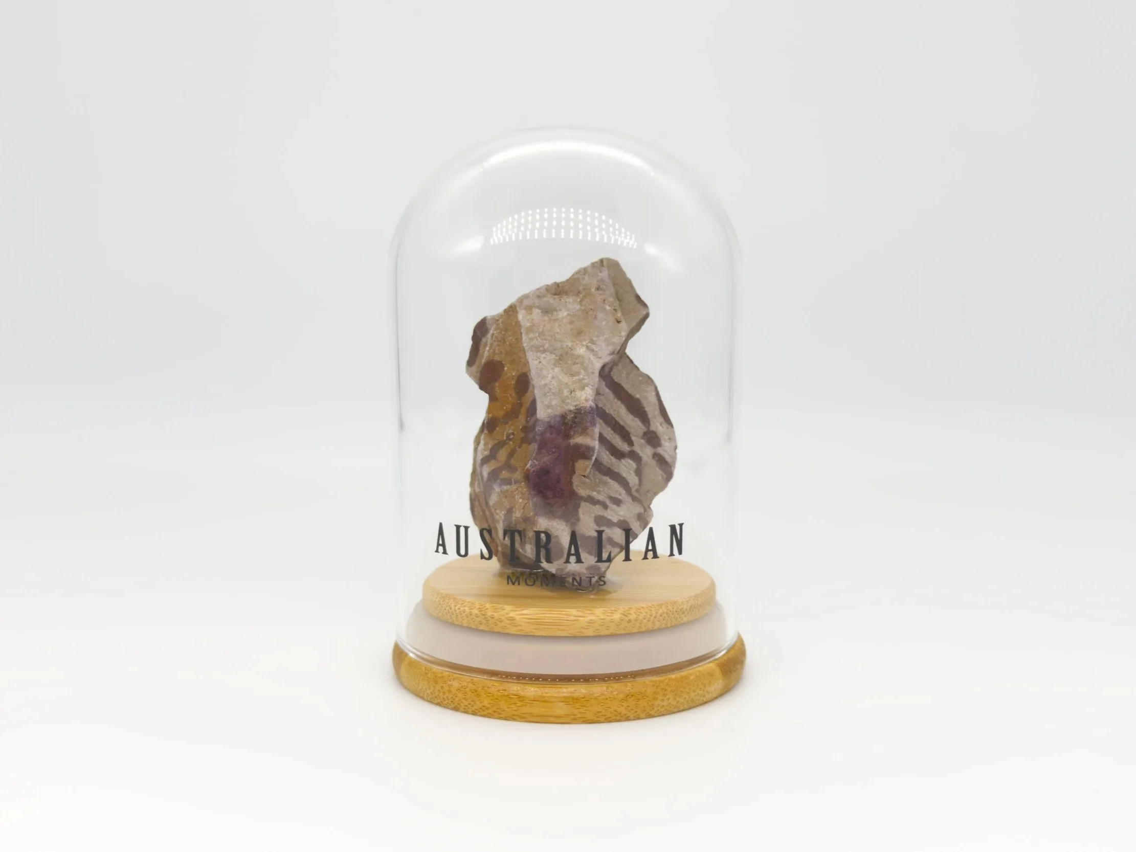 Zebra stone chunk in glass jar