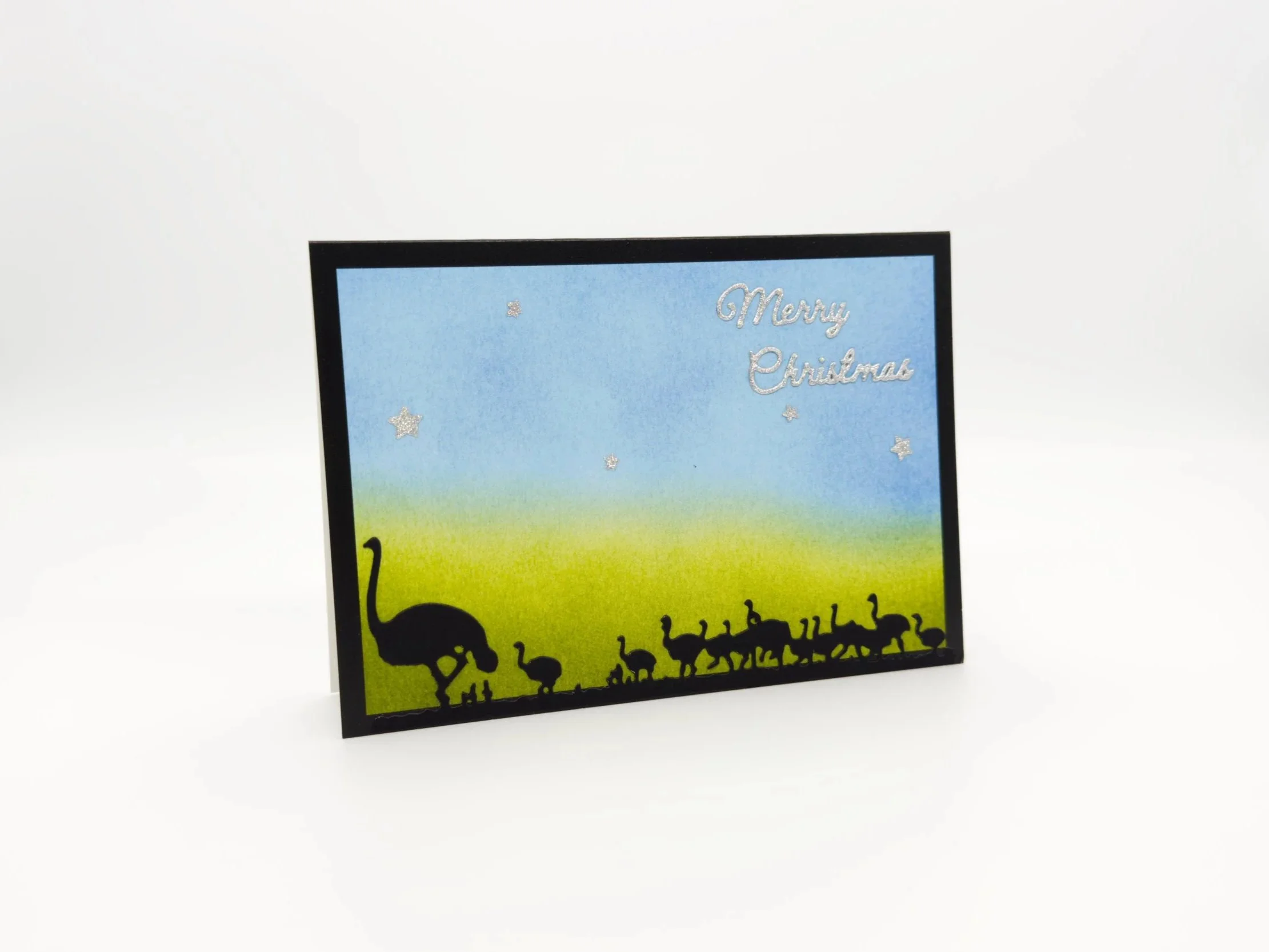 Emus at daytime christmas