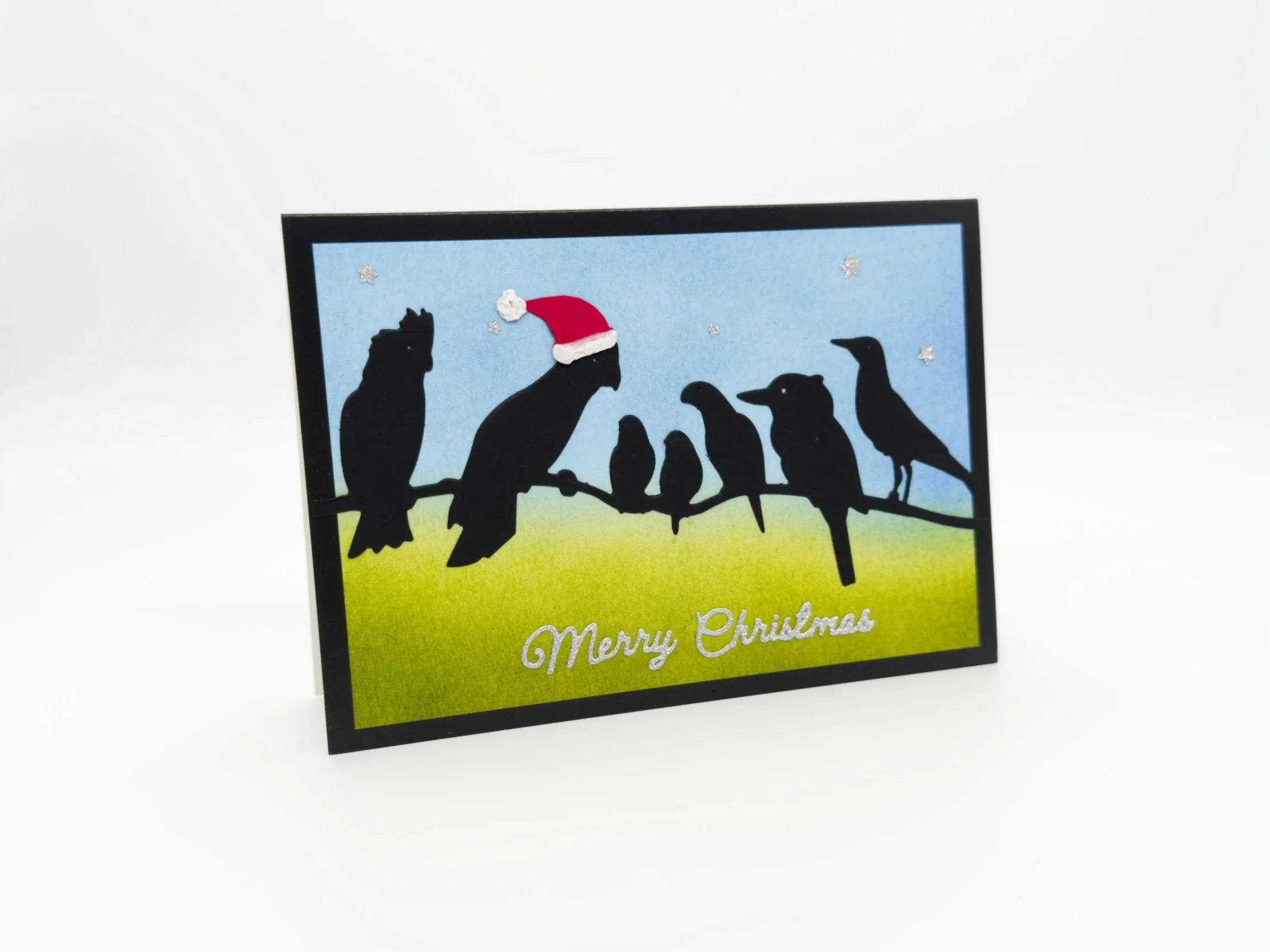 Seven birds on branch daytime christmas