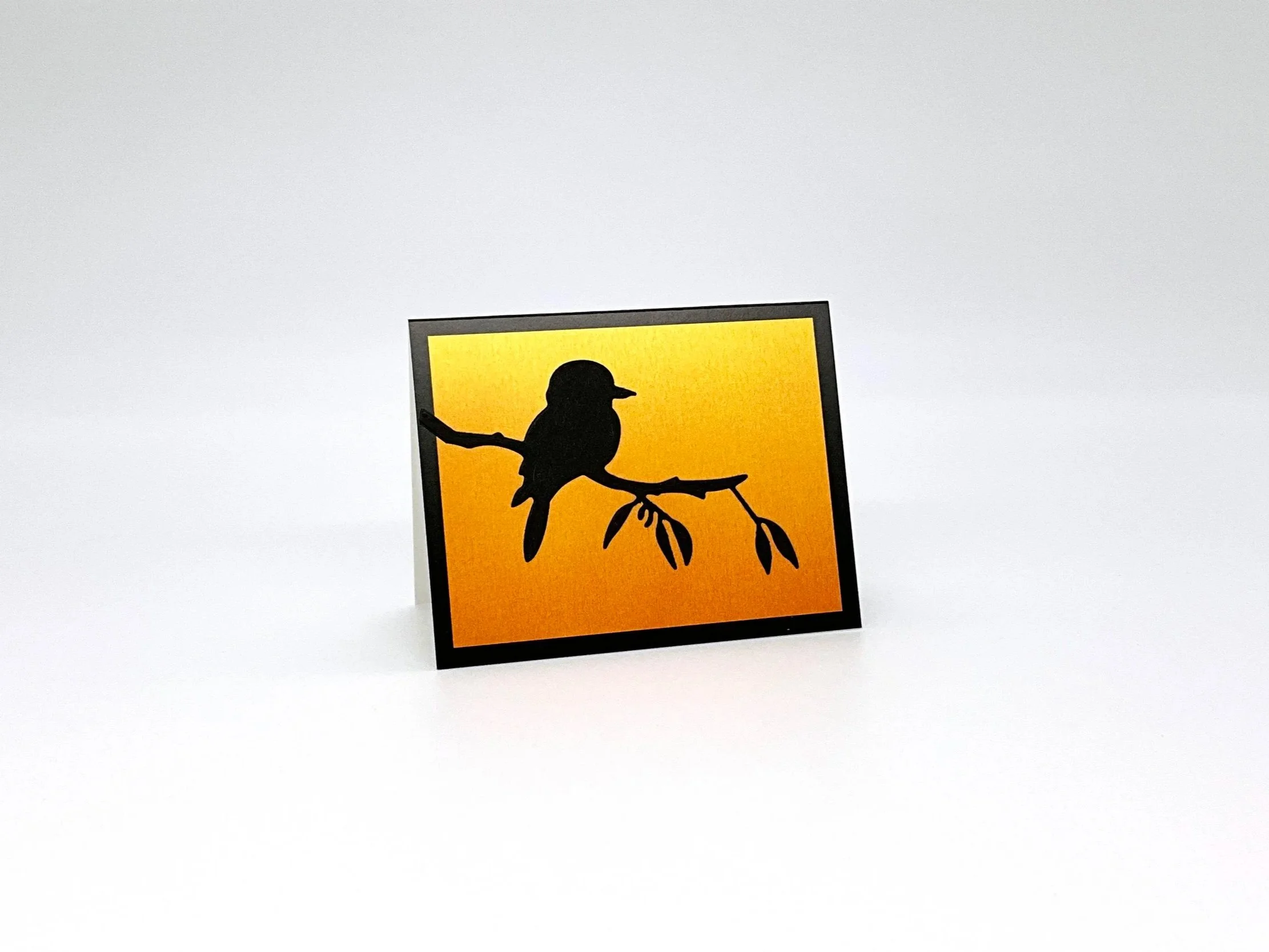 Kookaburra on branch