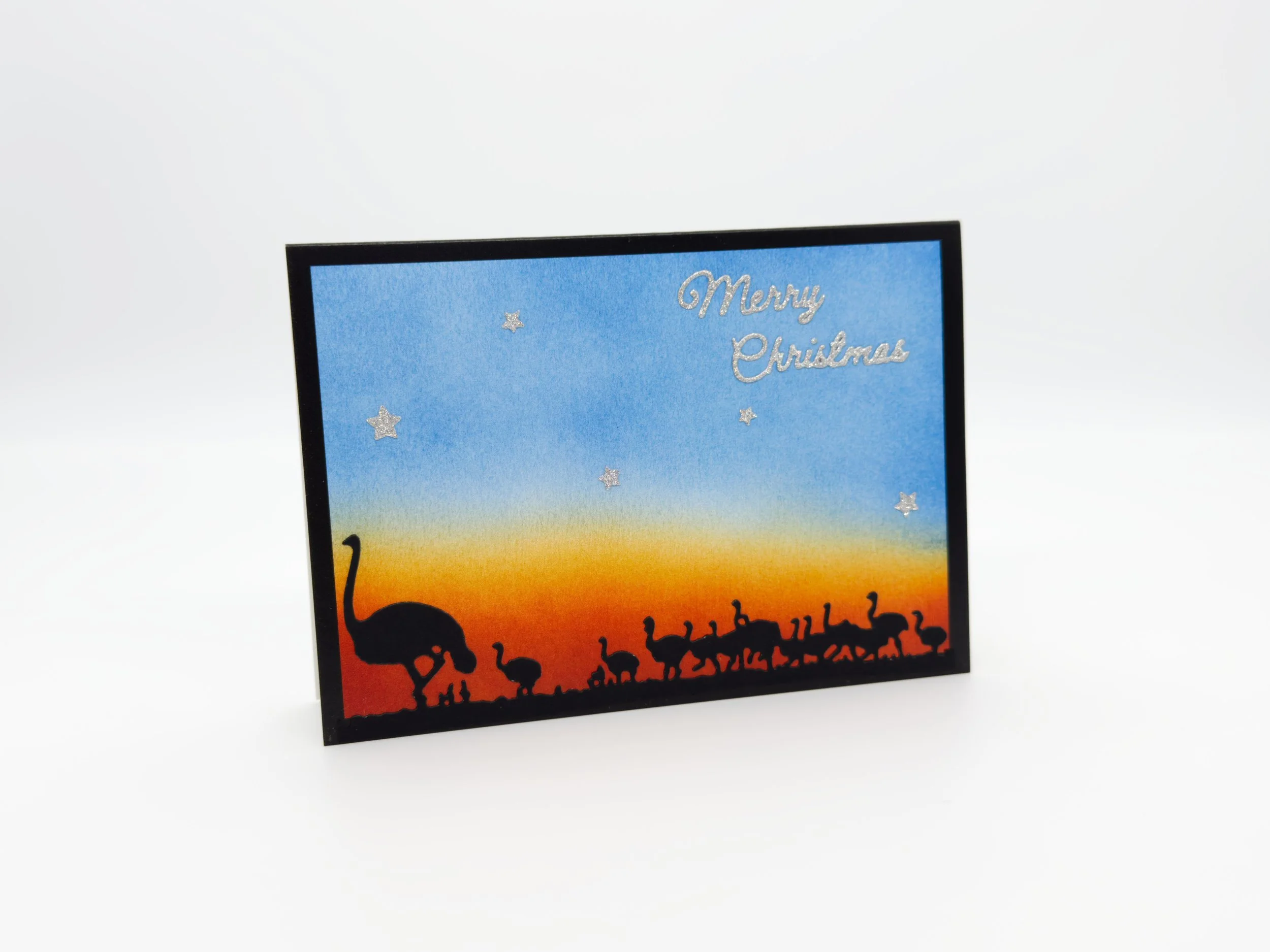 Emus at dusk christmas
