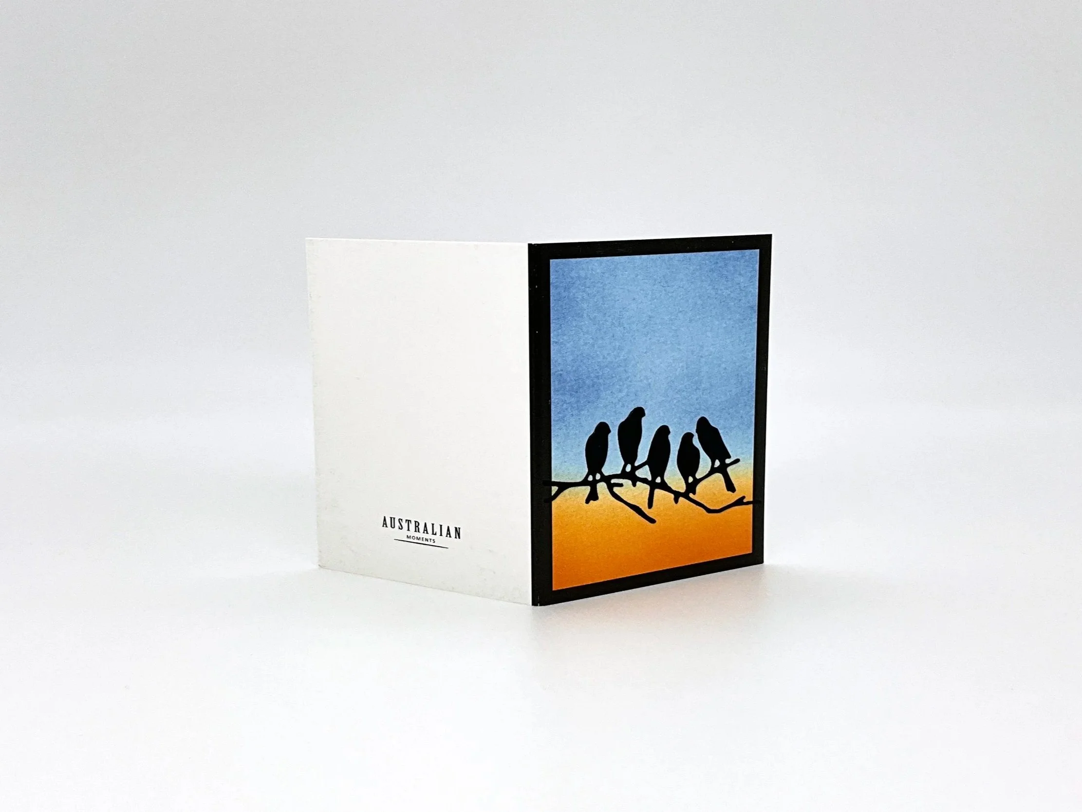 Australian birds on branch dusk