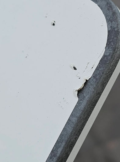 Protect Starlink against gnawing birds with Dishy Shield