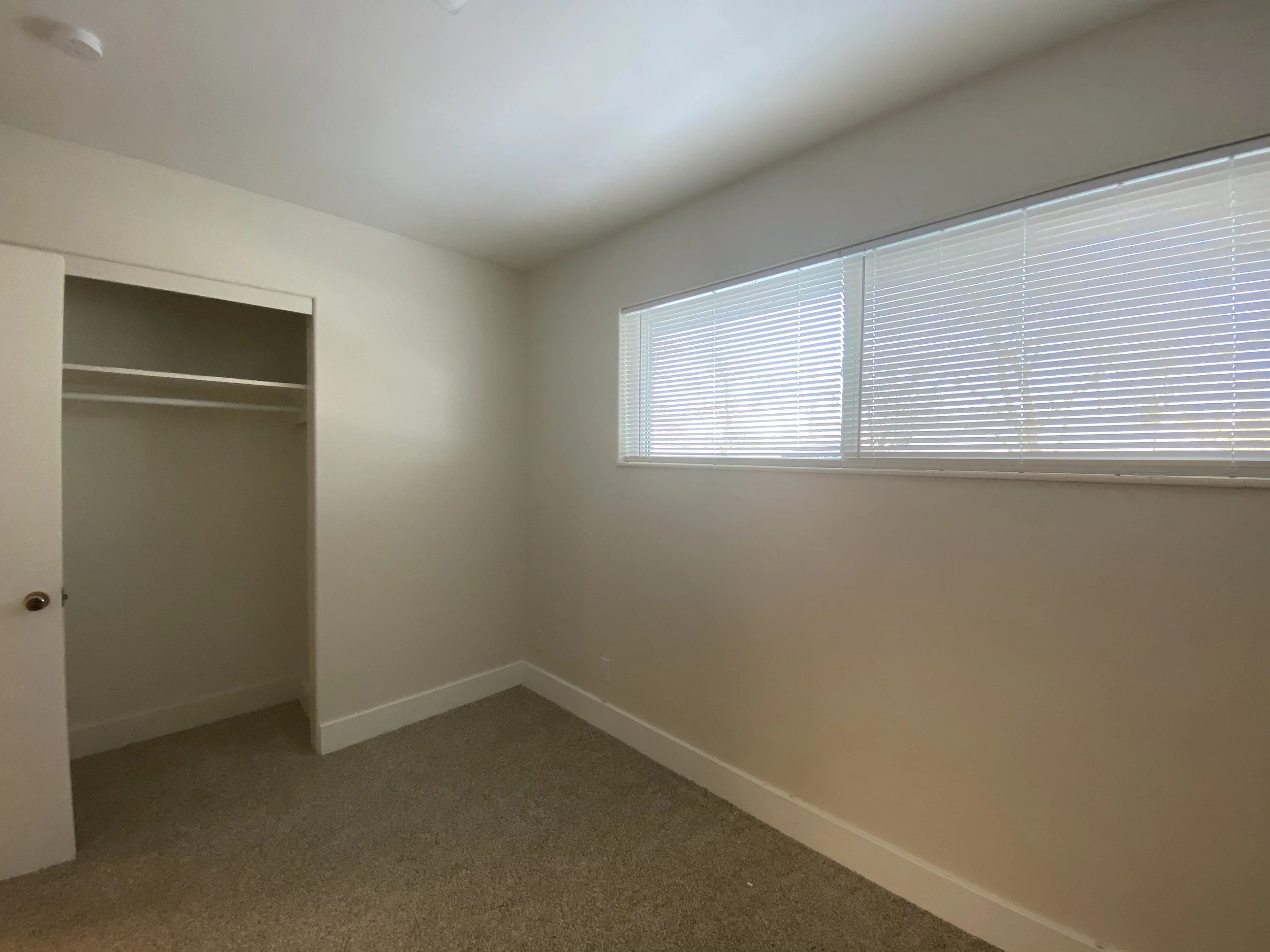 Empty room with beige carpet, white walls, a large window with horizontal blinds, and an open closet.