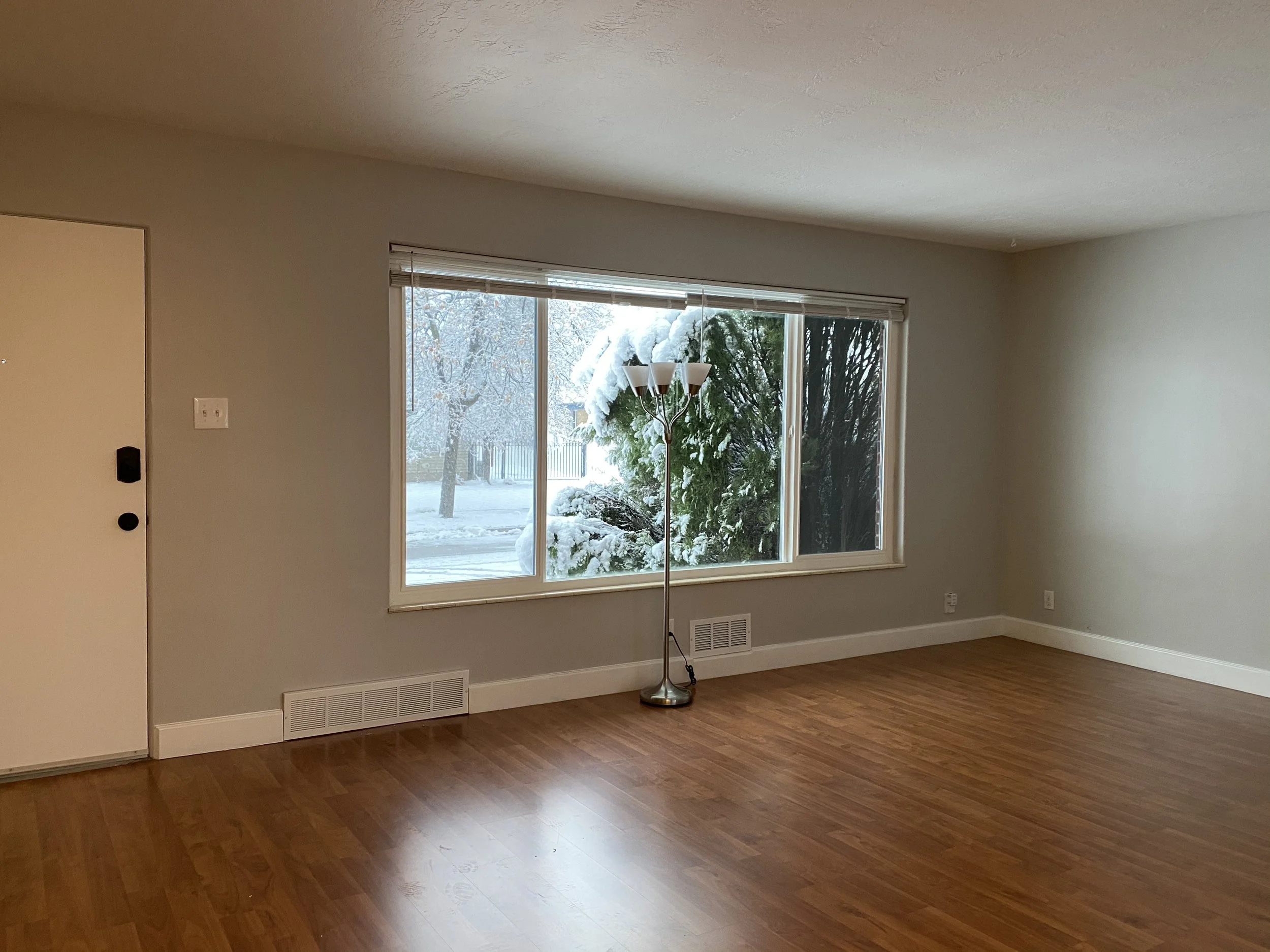 Empty living room with hardwood floors, large window showing a snow-covered landscape outside, and a tall floor lamp near the window.