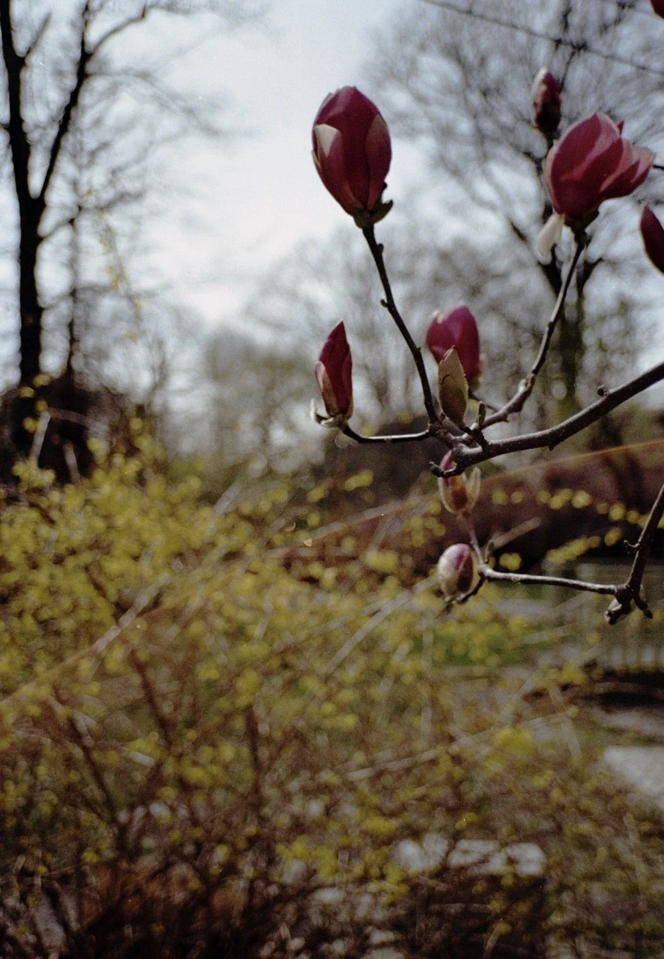 SC 2024-04-24 at 9.58.58 PM.jpg